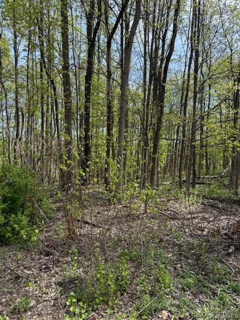 Route 300 photo 1