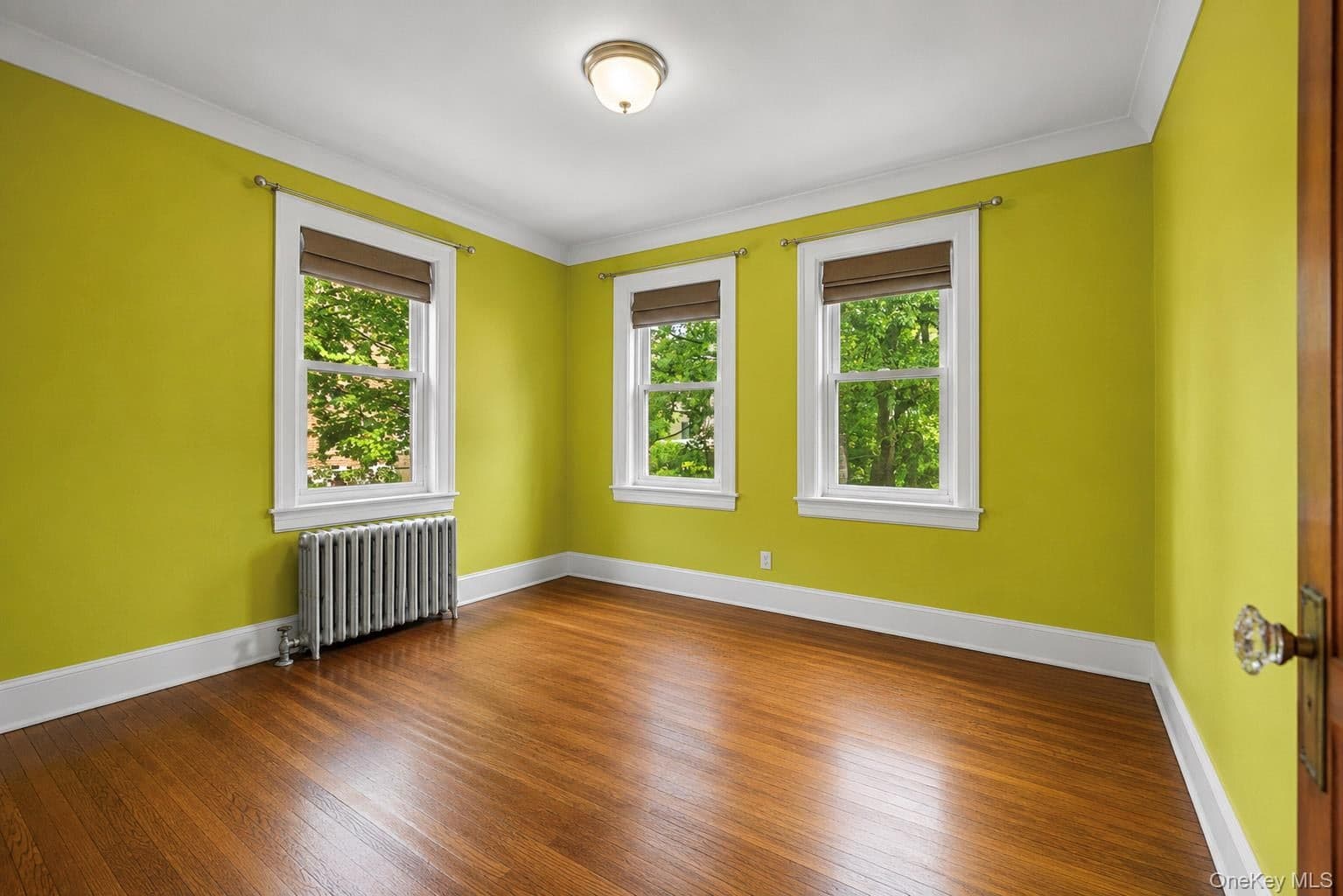 953 E 226th Street thumbnail 13