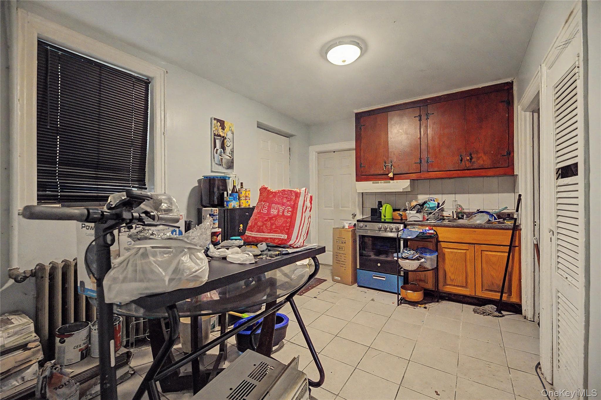 953 E 226th Street thumbnail 18
