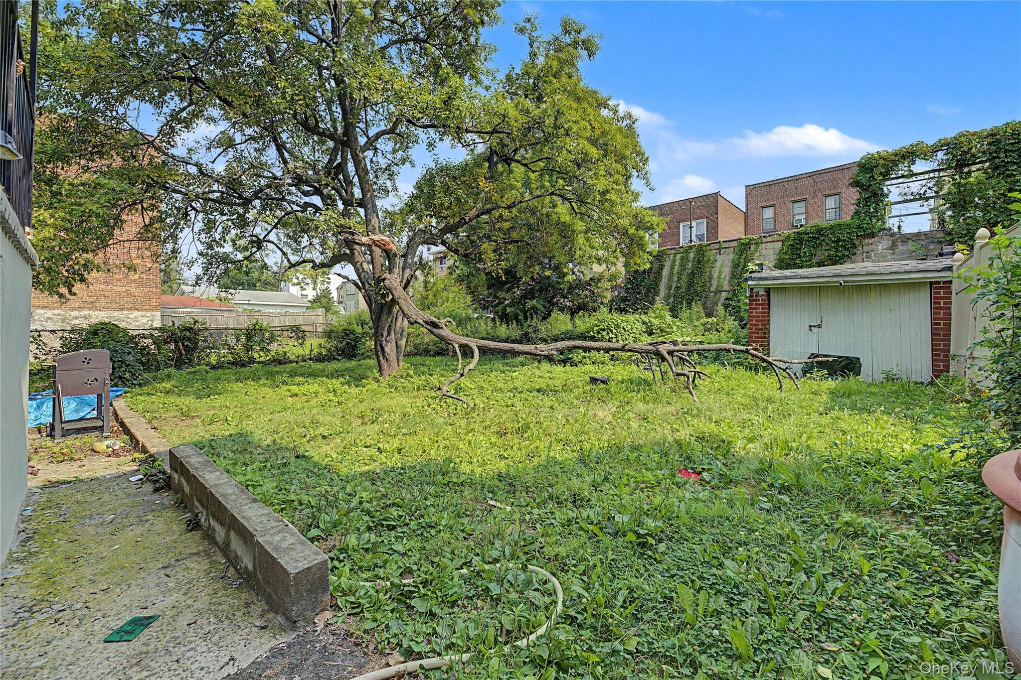 953 E 226th Street thumbnail 20
