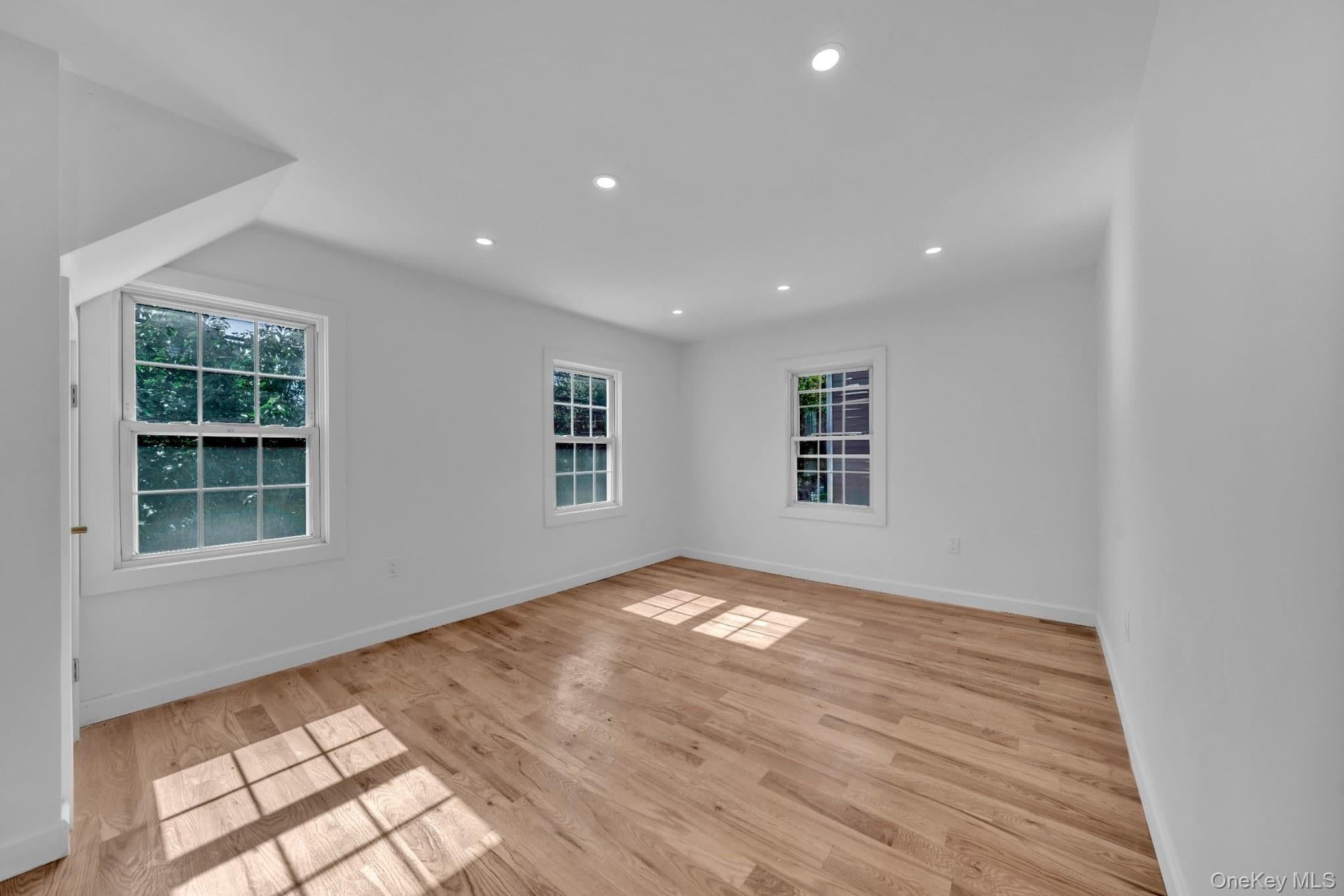 219 E 238th Street thumbnail 8