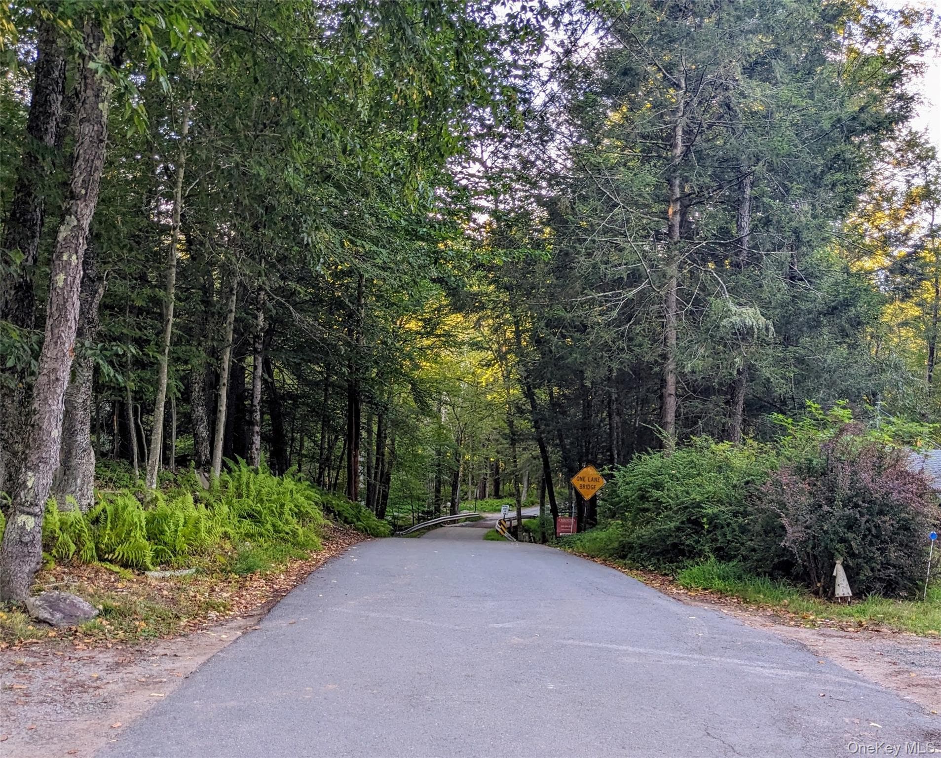 24 N Mohican Trail thumbnail 2