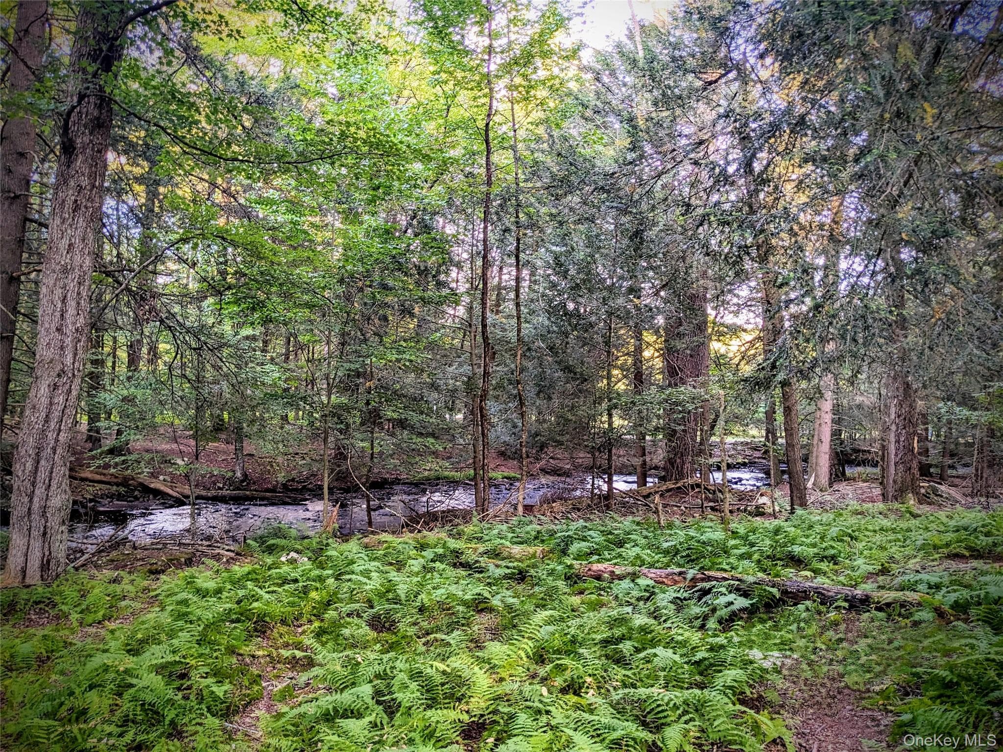 24 N Mohican Trail thumbnail 41
