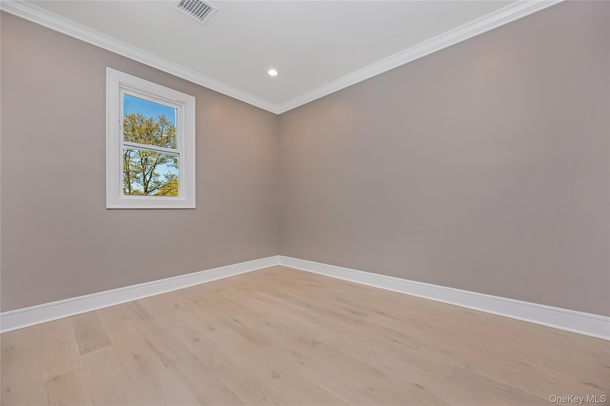 224 Oconnell Street thumbnail 24