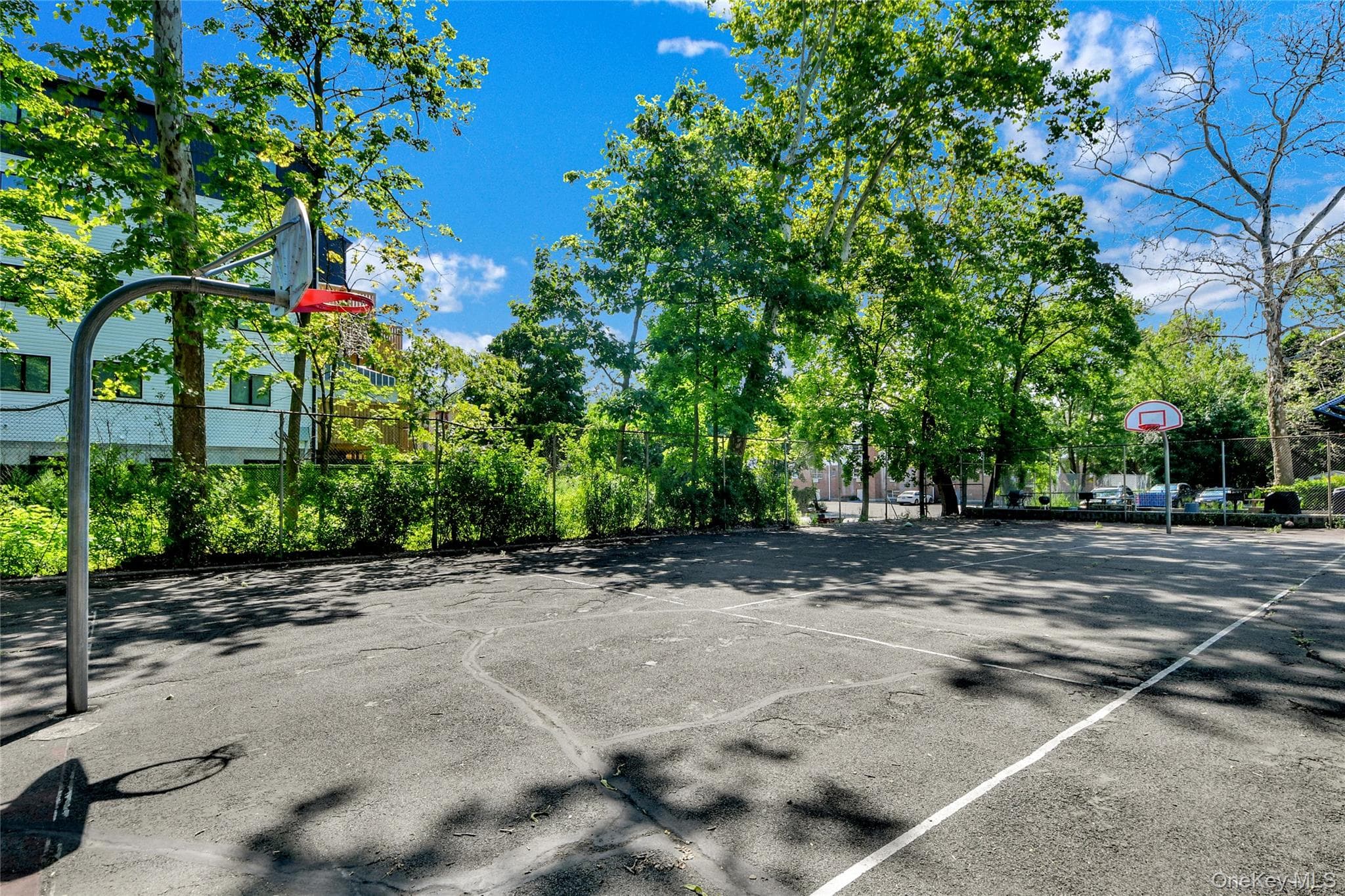40 S Cole Avenue Unit: 1H thumbnail 10