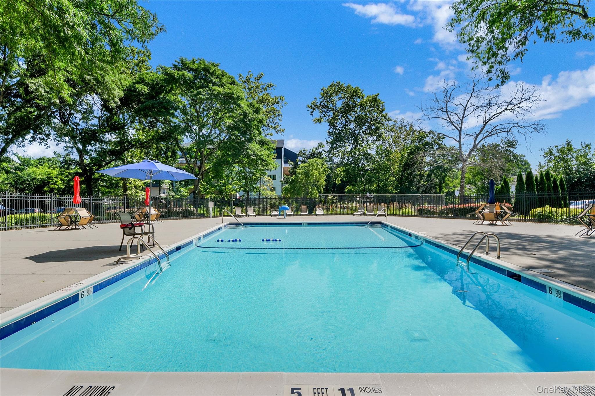 40 S Cole Avenue Unit: 1H thumbnail 9