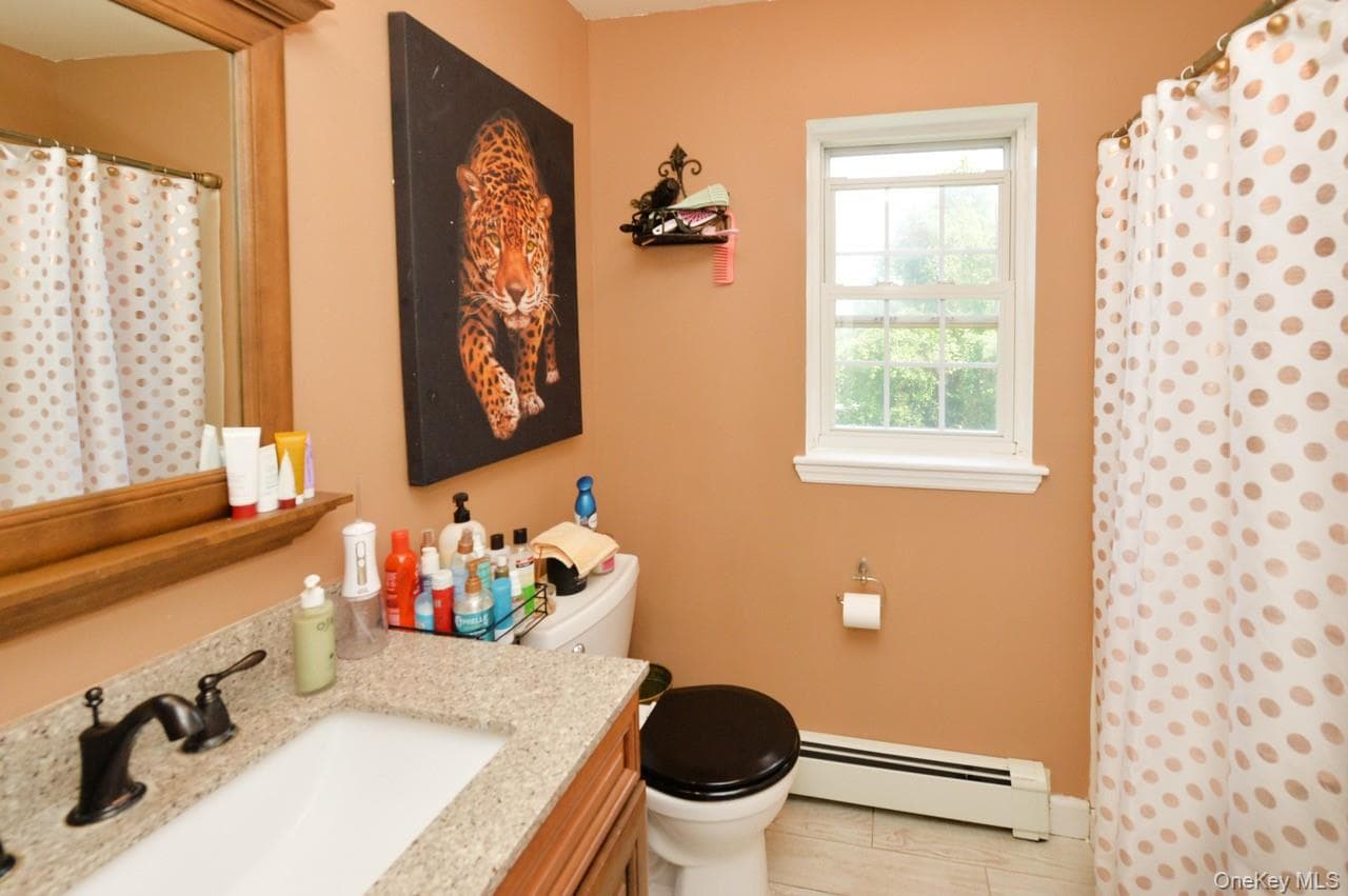 19 Dowd Street thumbnail 12