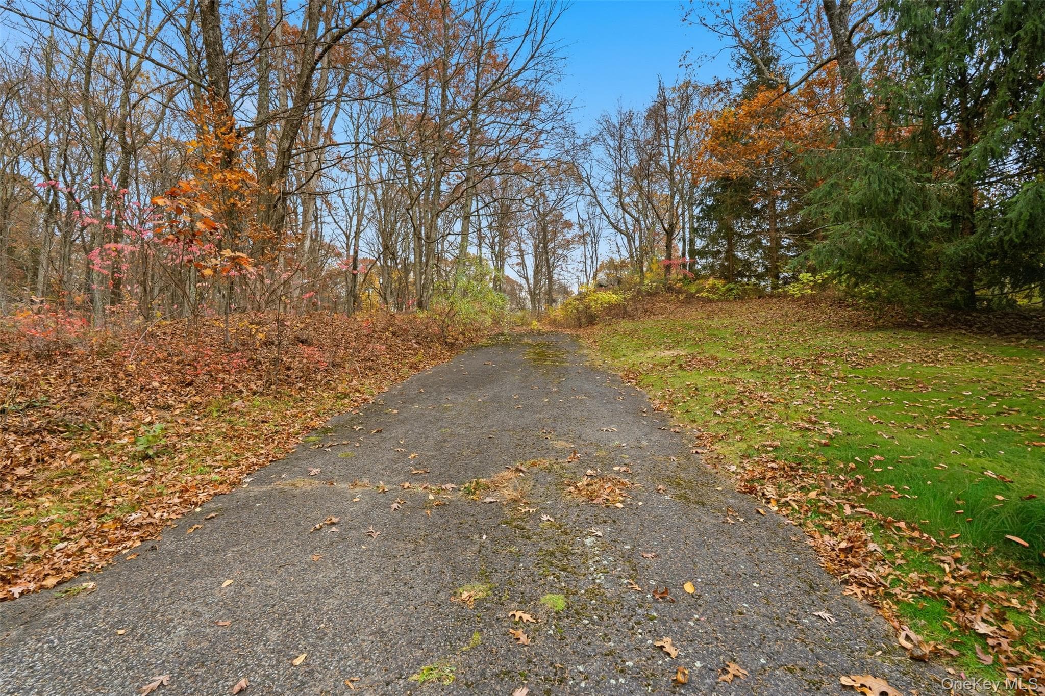 17 Spring House Road thumbnail 3