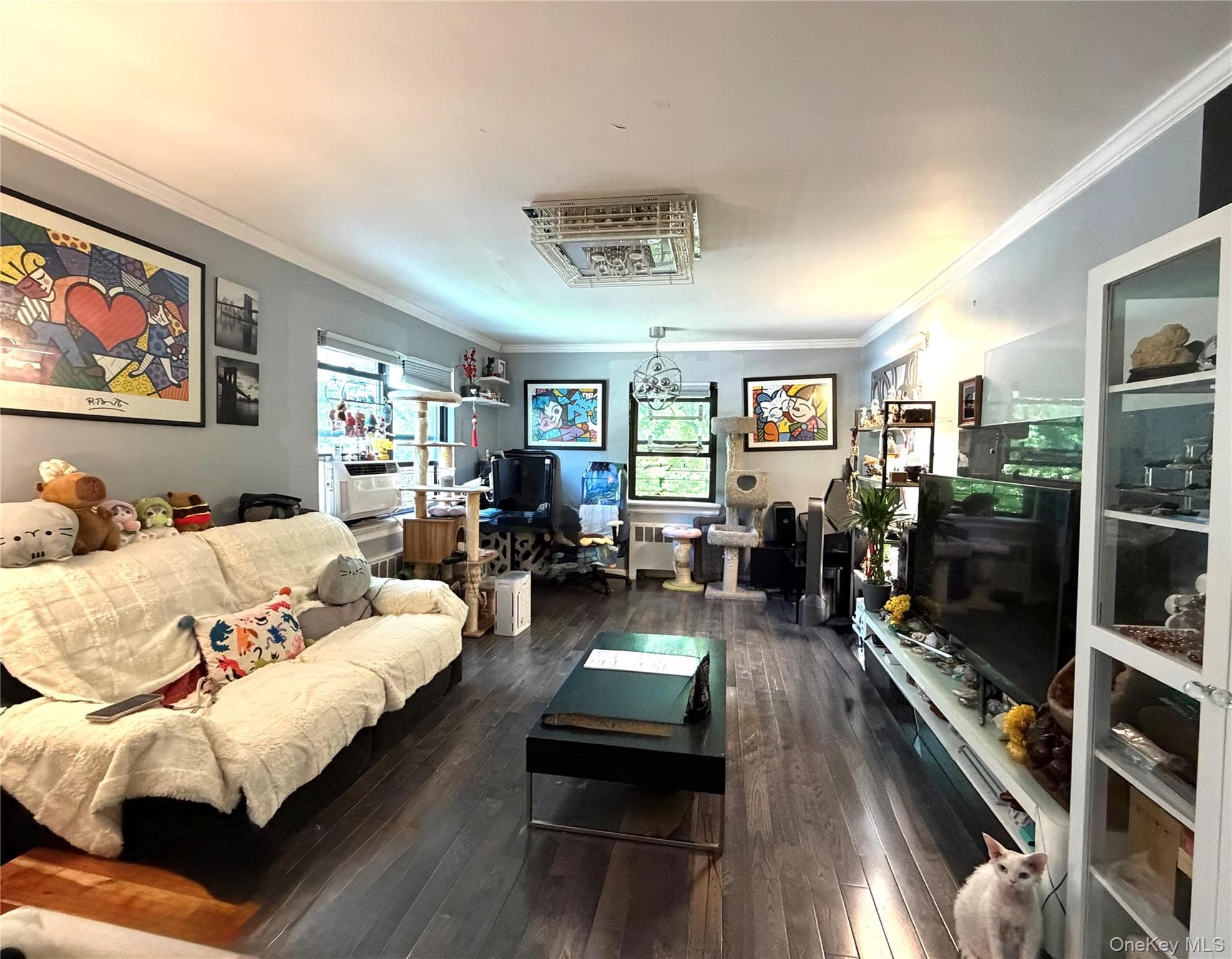 73-96 Springfield Blvd Blvd Unit: 2nd floor thumbnail 2