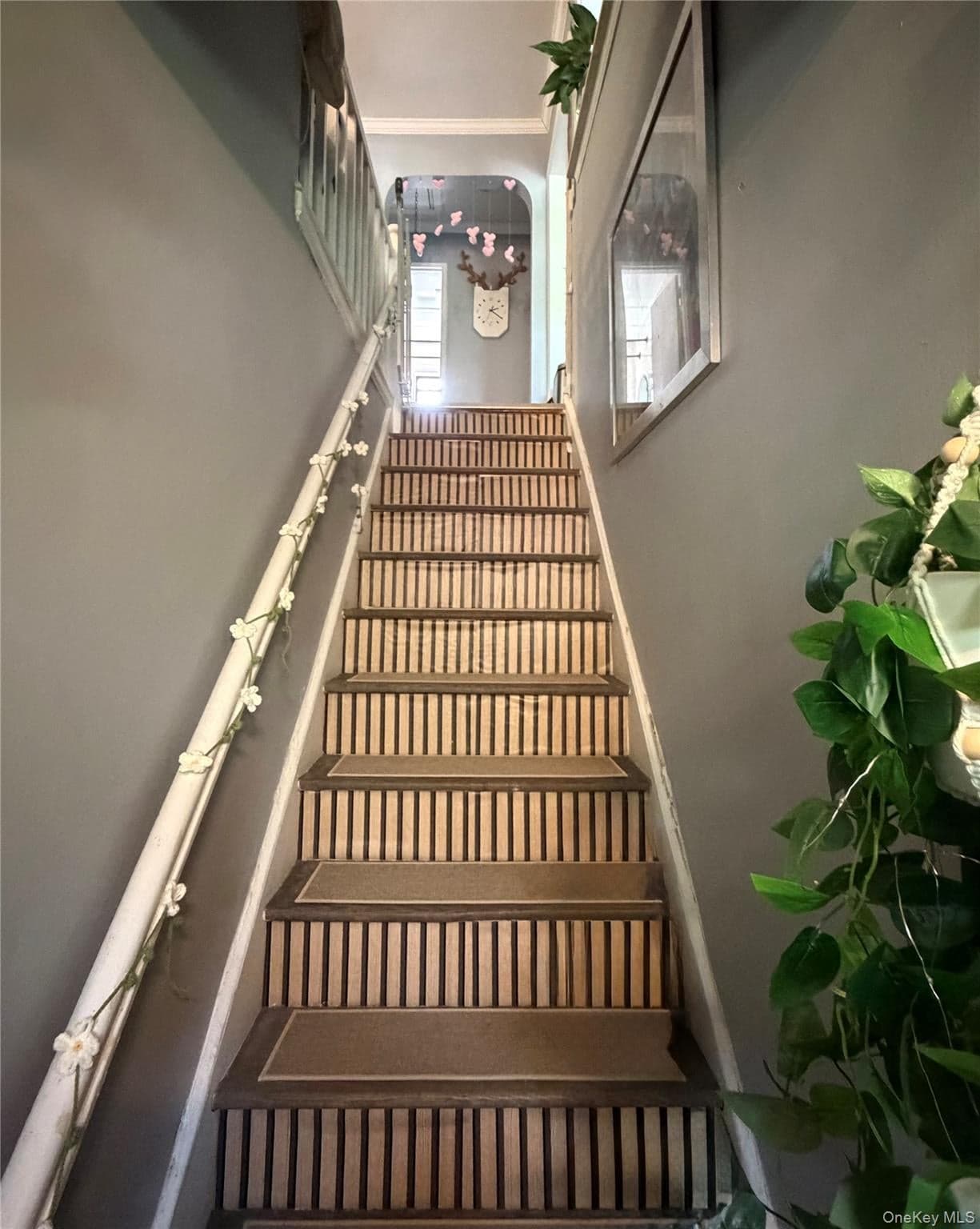73-96 Springfield Blvd Blvd Unit: 2nd floor thumbnail 10
