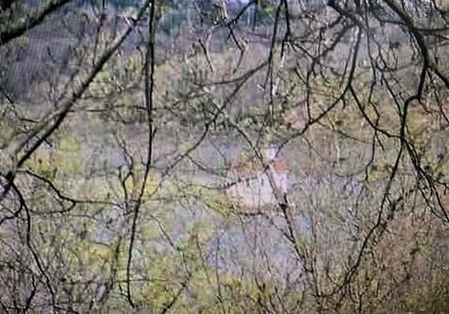 272 River Road thumbnail 2