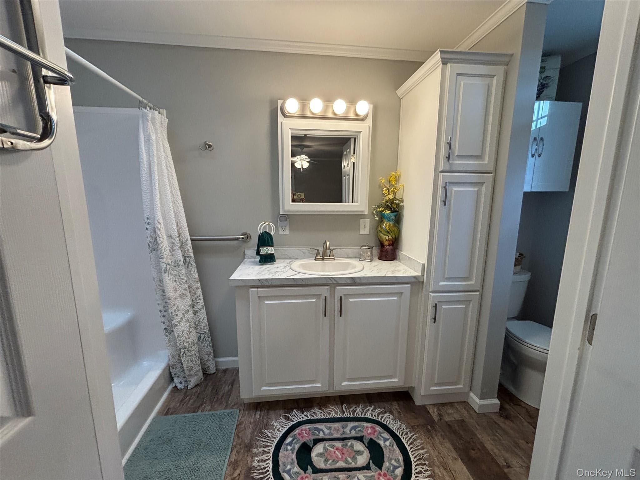 1661 Old Country Road Unit: 72 thumbnail 22