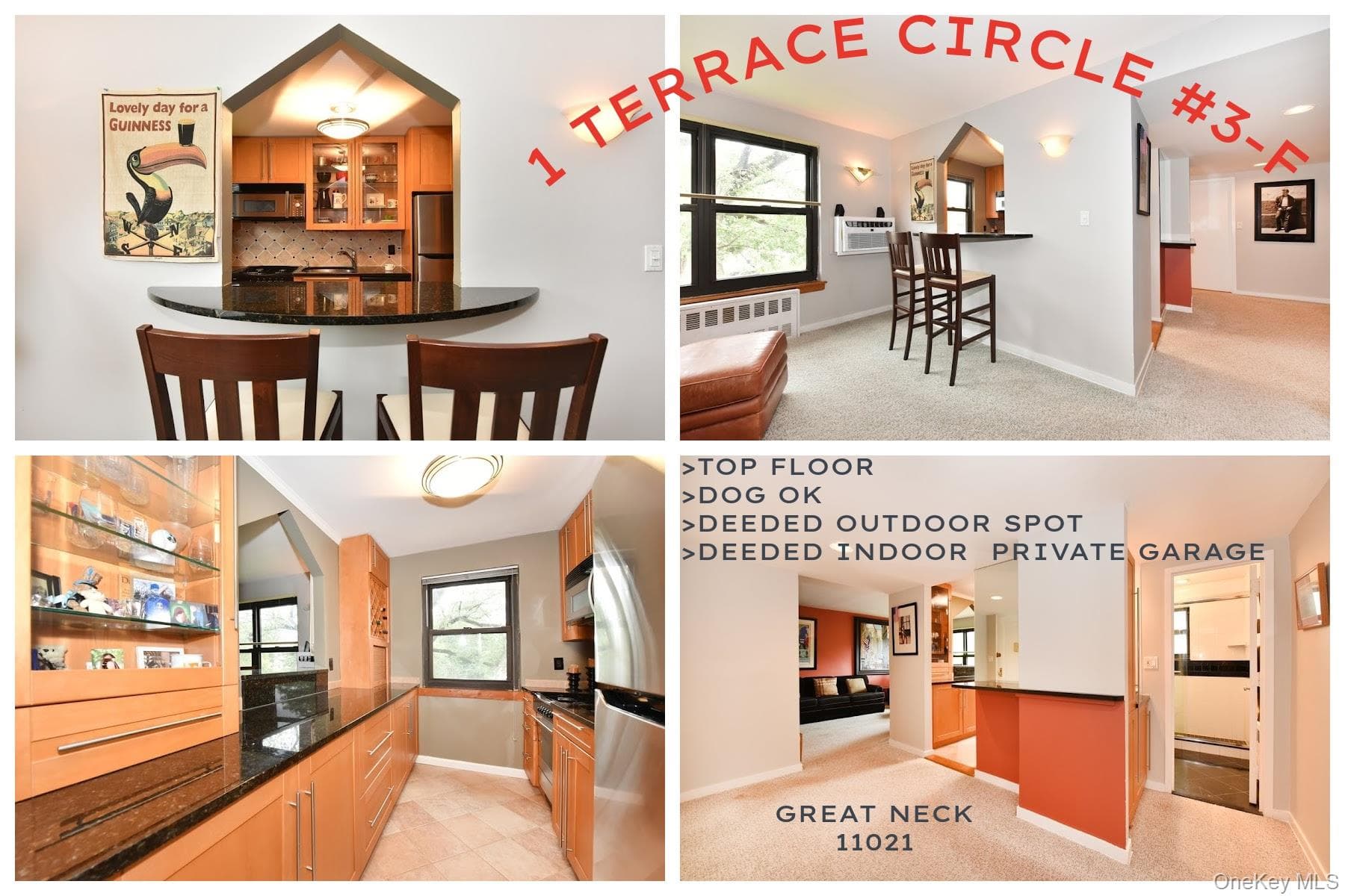 1 Terrace Circle Unit: 3-F, Great Neck
