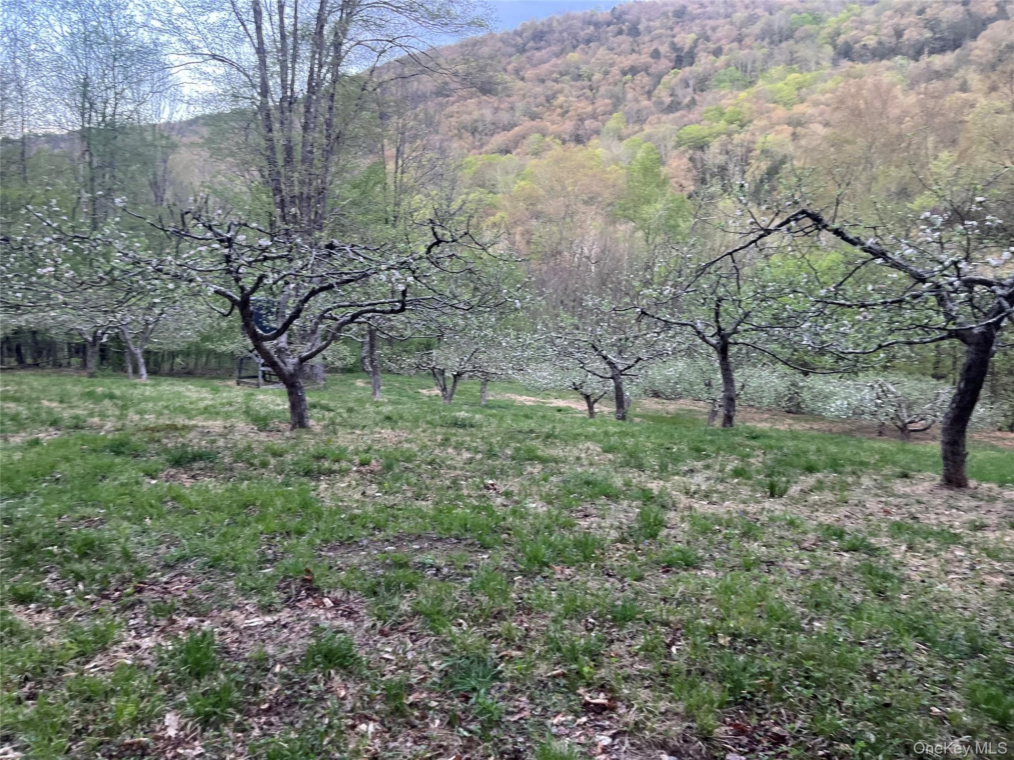 201 Basket Brook Rd thumbnail 34