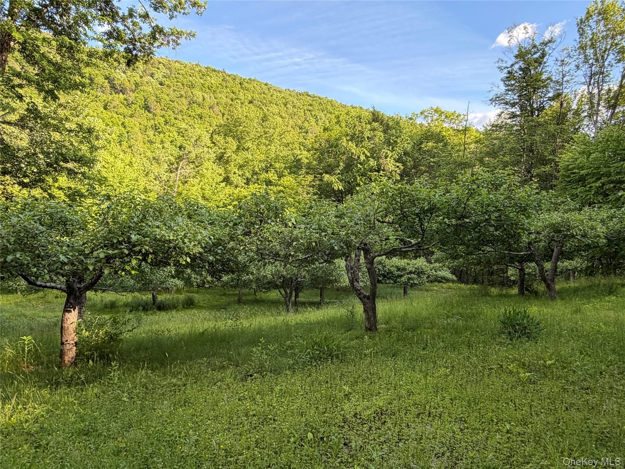 201 Basket Brook Rd thumbnail 35