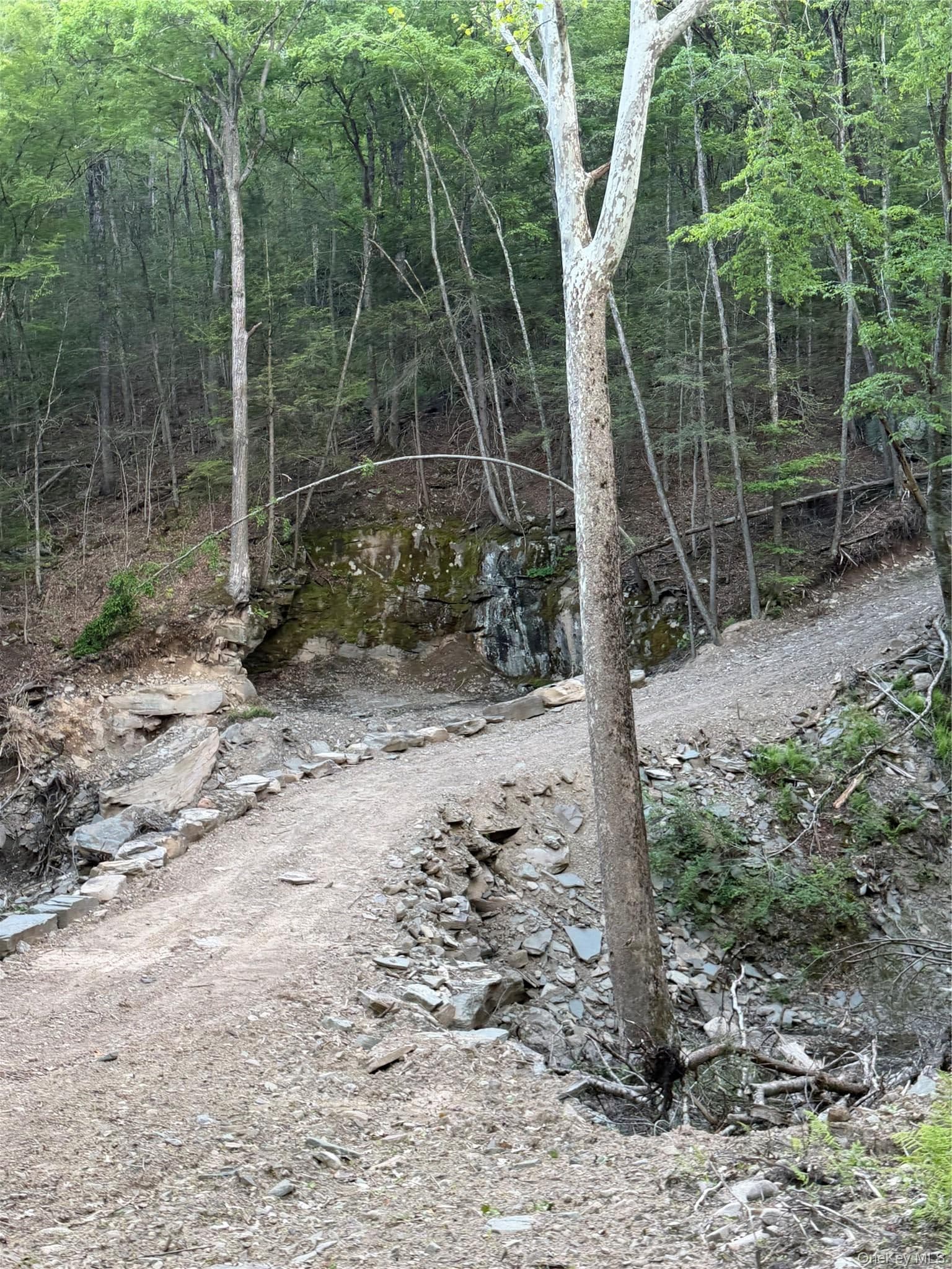 201 Basket Brook Rd thumbnail 37