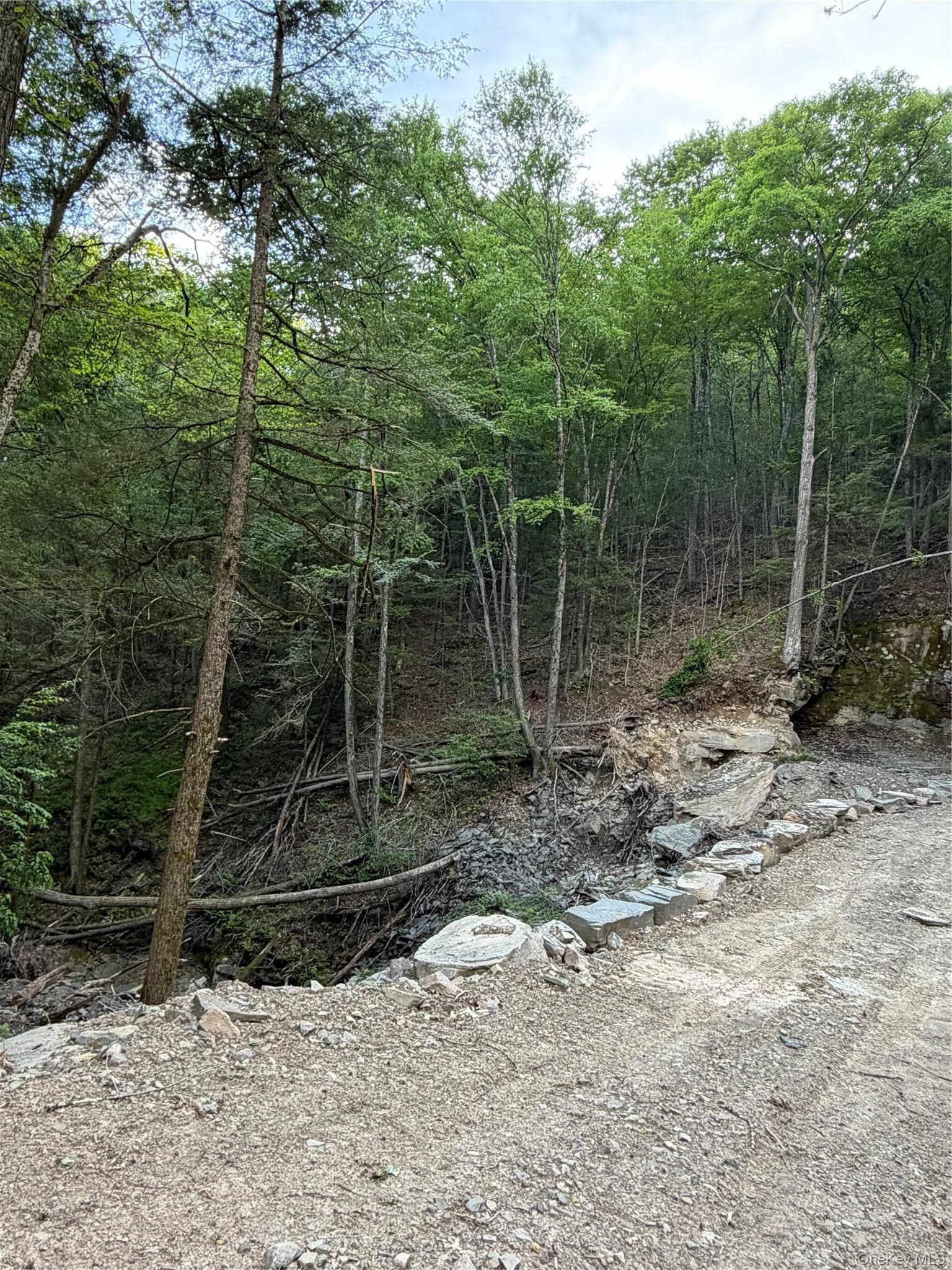 201 Basket Brook Rd thumbnail 36