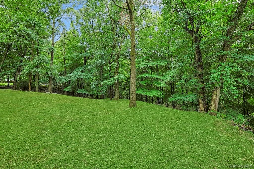 115 Whippoorwill Road thumbnail 33