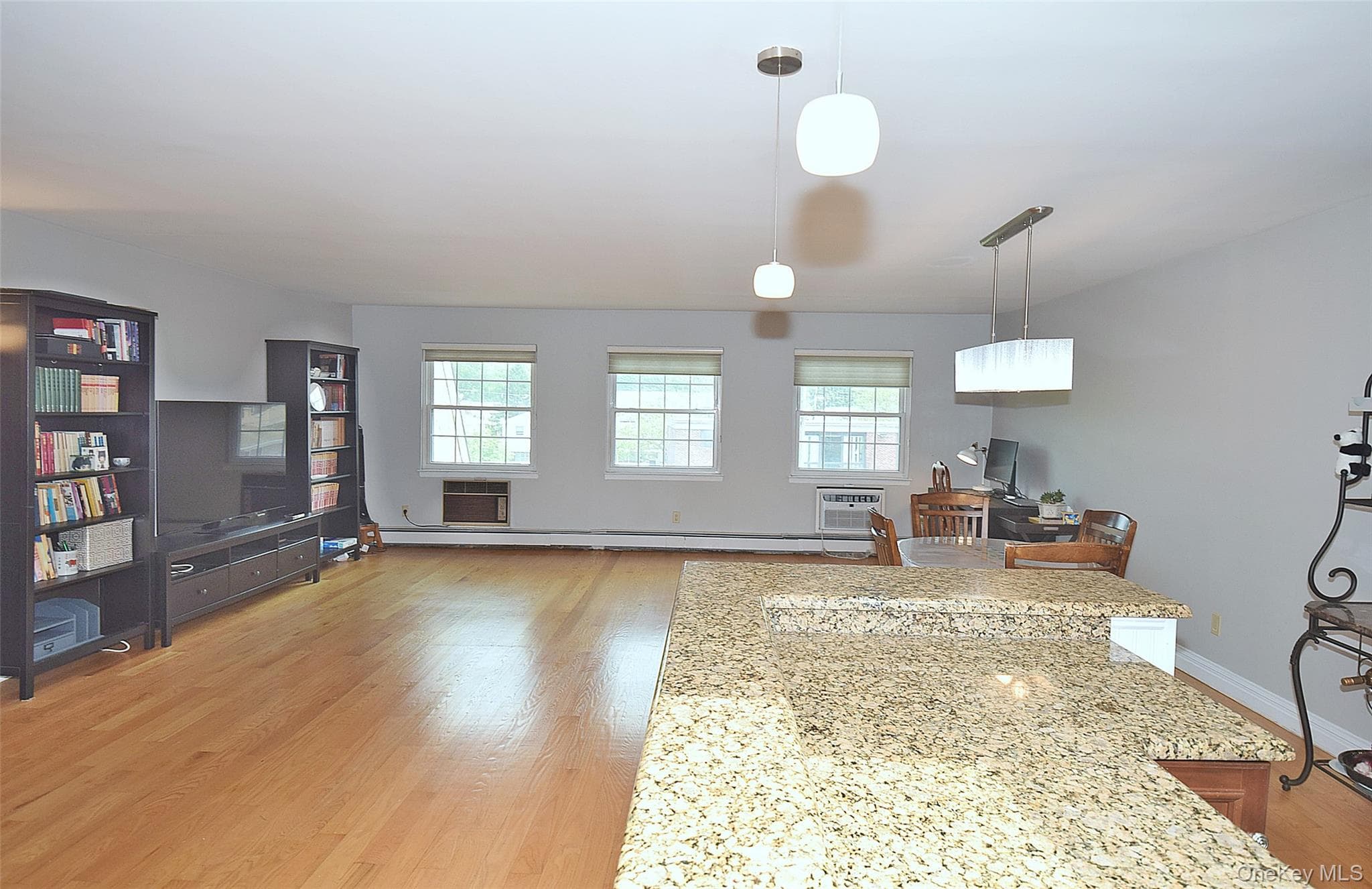 12-27 Diane Place Unit: 196 U thumbnail 4