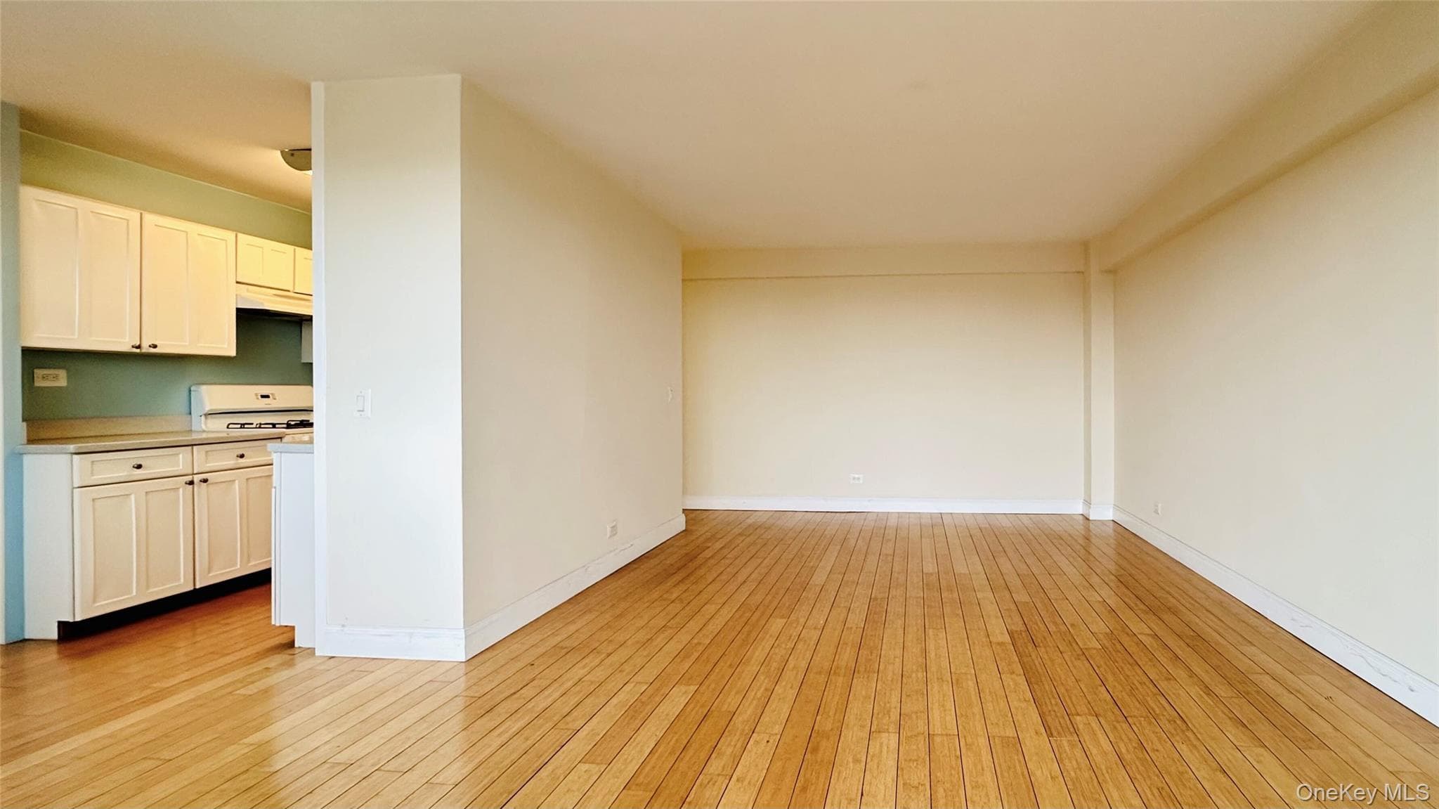 880 Boynton Avenue Unit: 18A thumbnail 11