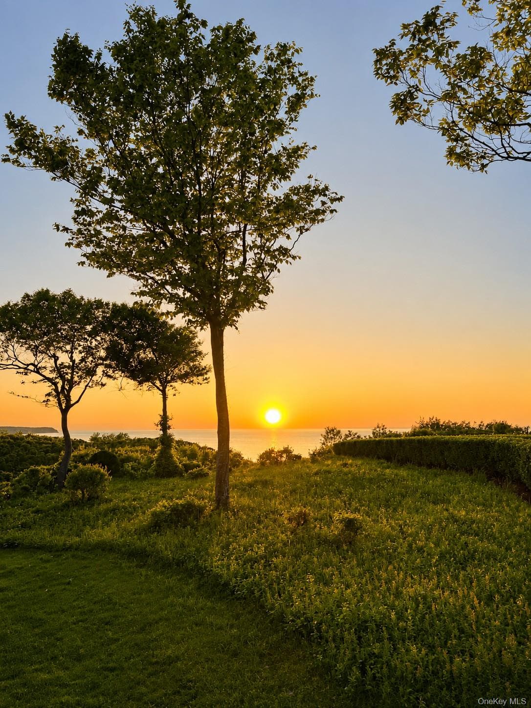 401 Fox Hill Drive Unit: 401 thumbnail 27