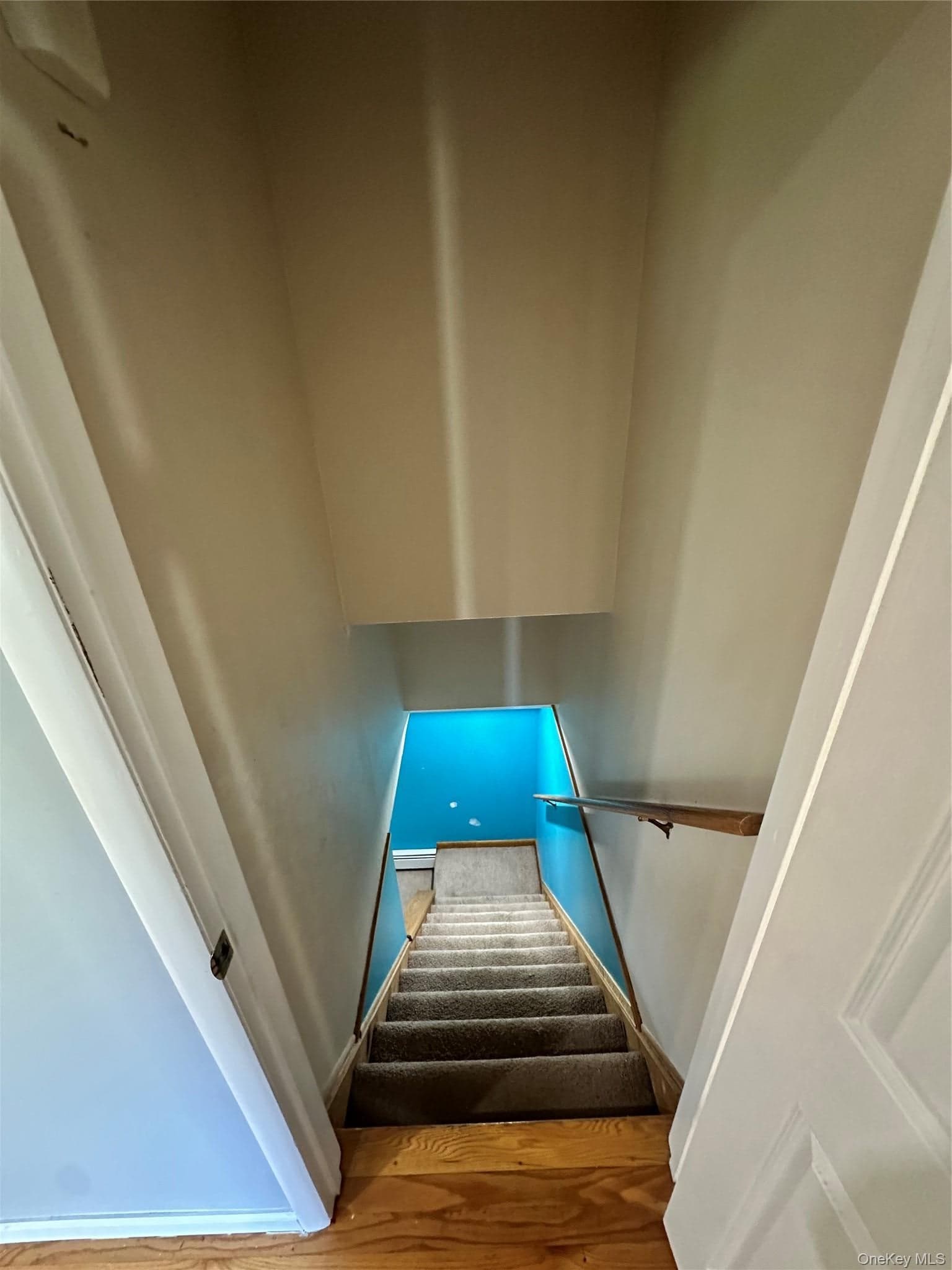 9 Elizabeth Drive thumbnail 18