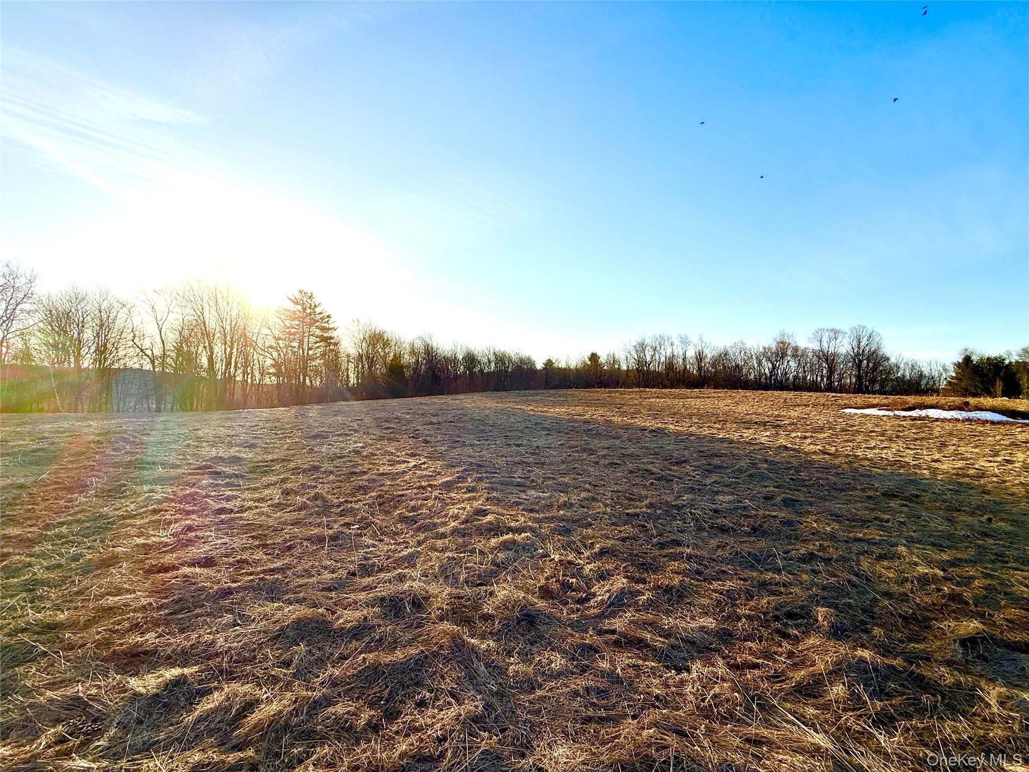 2182 Snake Hill Road thumbnail 9