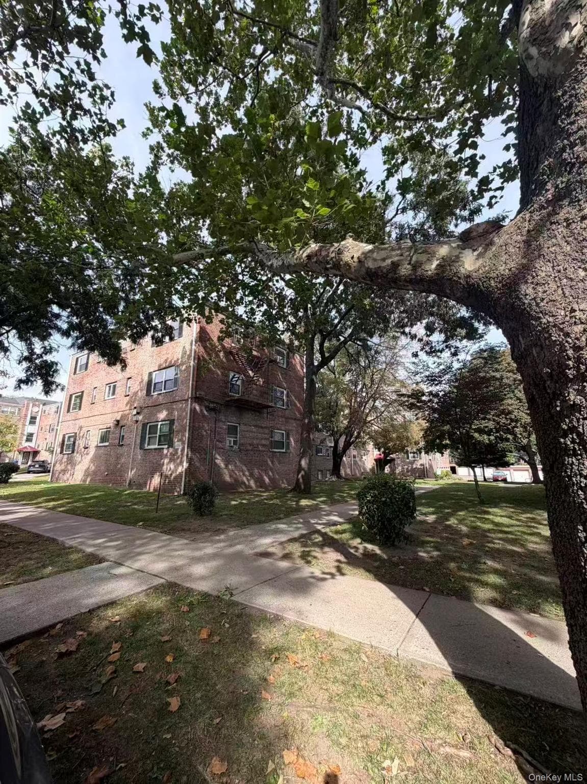 111-15 66th Avenue Unit: 2A thumbnail 10