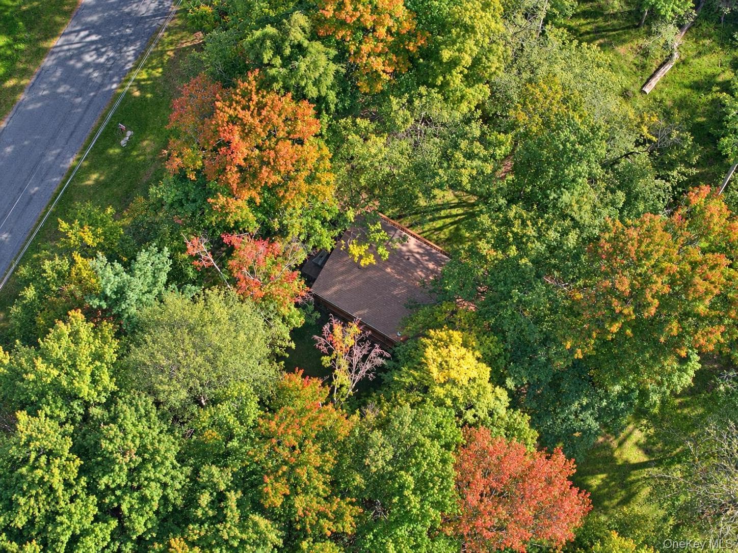 93 Starlight Drive thumbnail 41