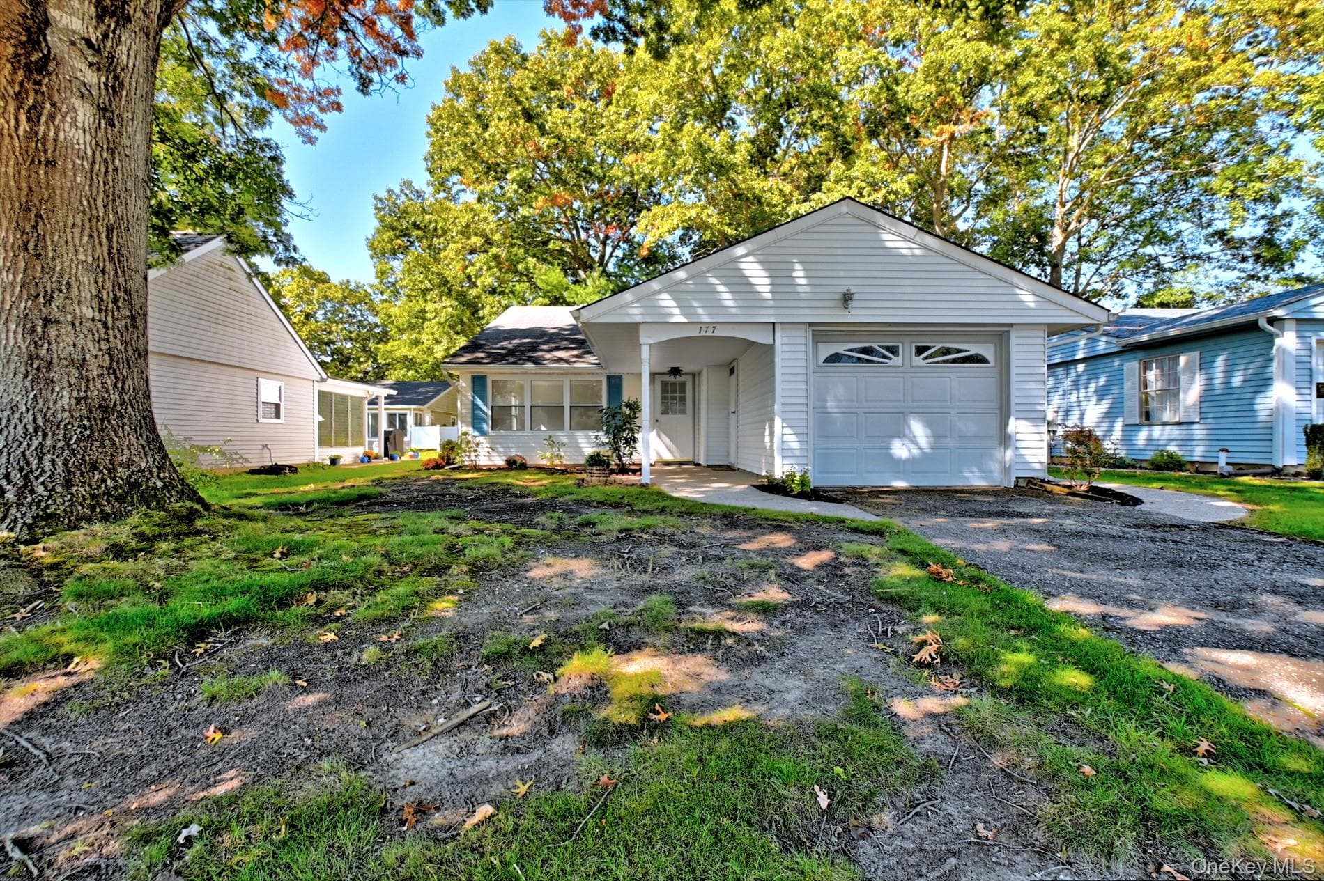 177 Canterbury Drive thumbnail 7