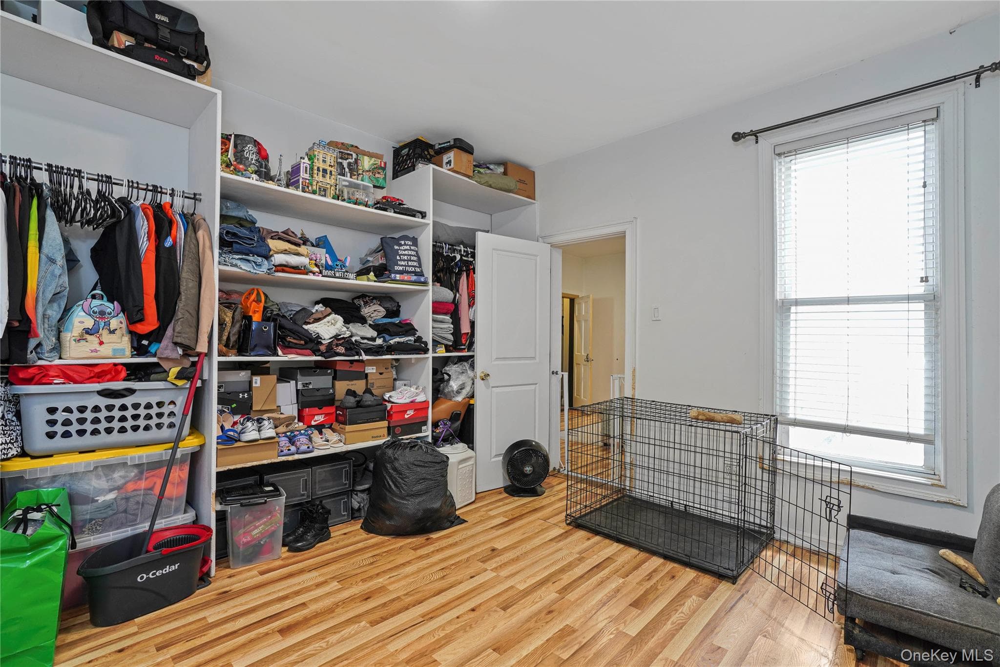 629 E 183rd Street thumbnail 12