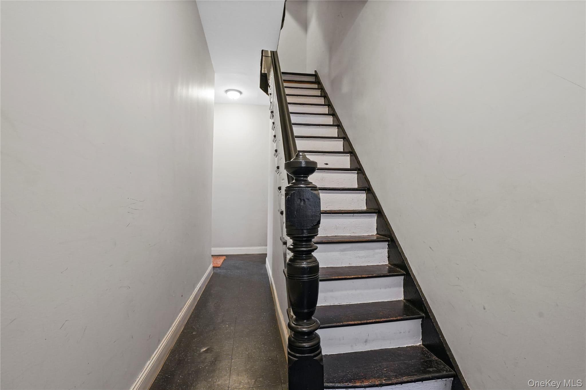 629 E 183rd Street thumbnail 8
