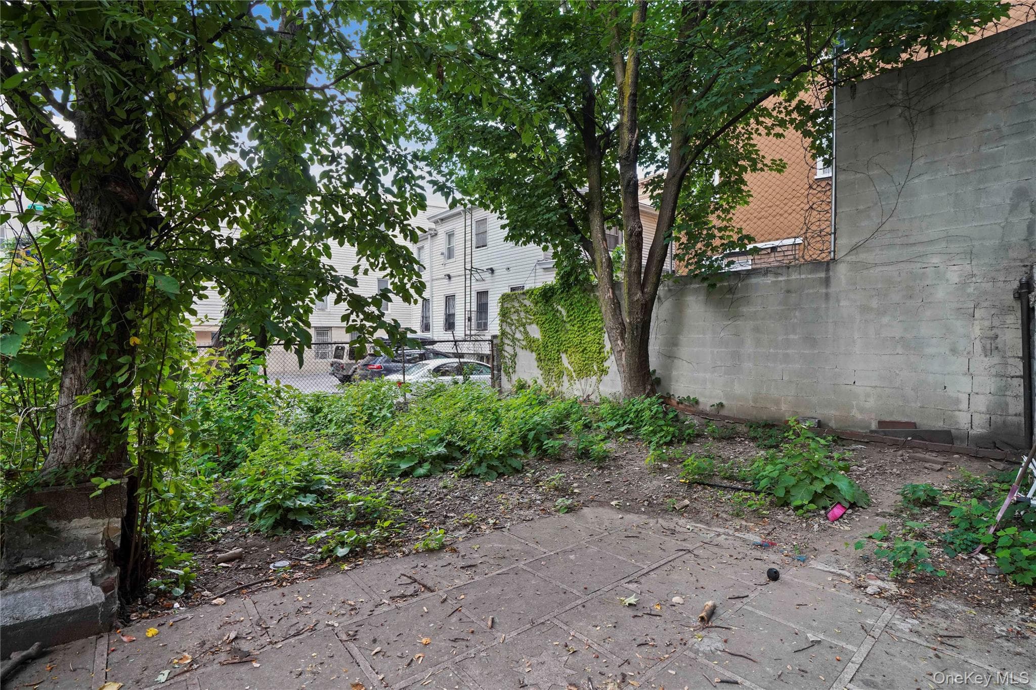 629 E 183rd Street thumbnail 41