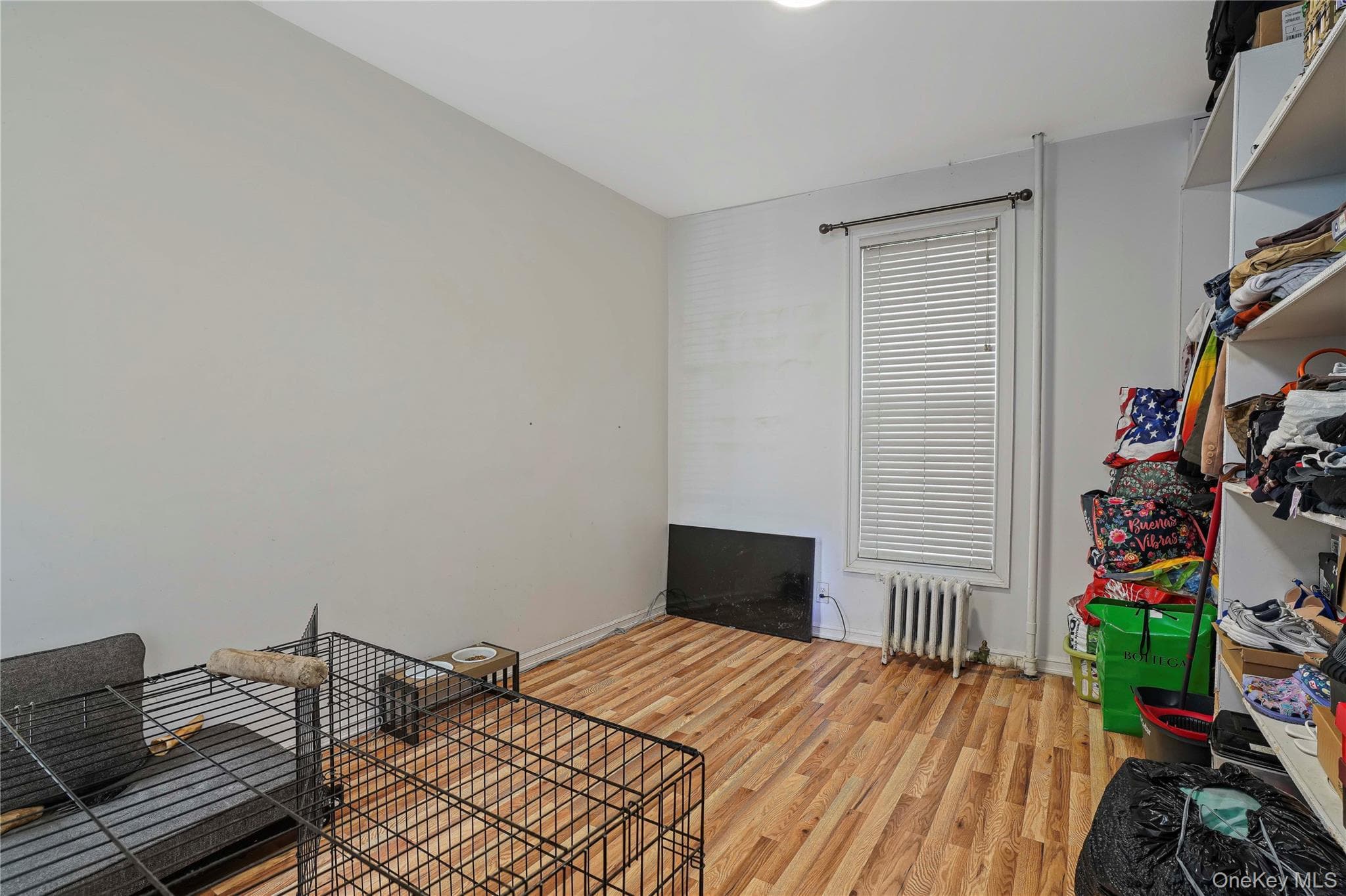 629 E 183rd Street thumbnail 11