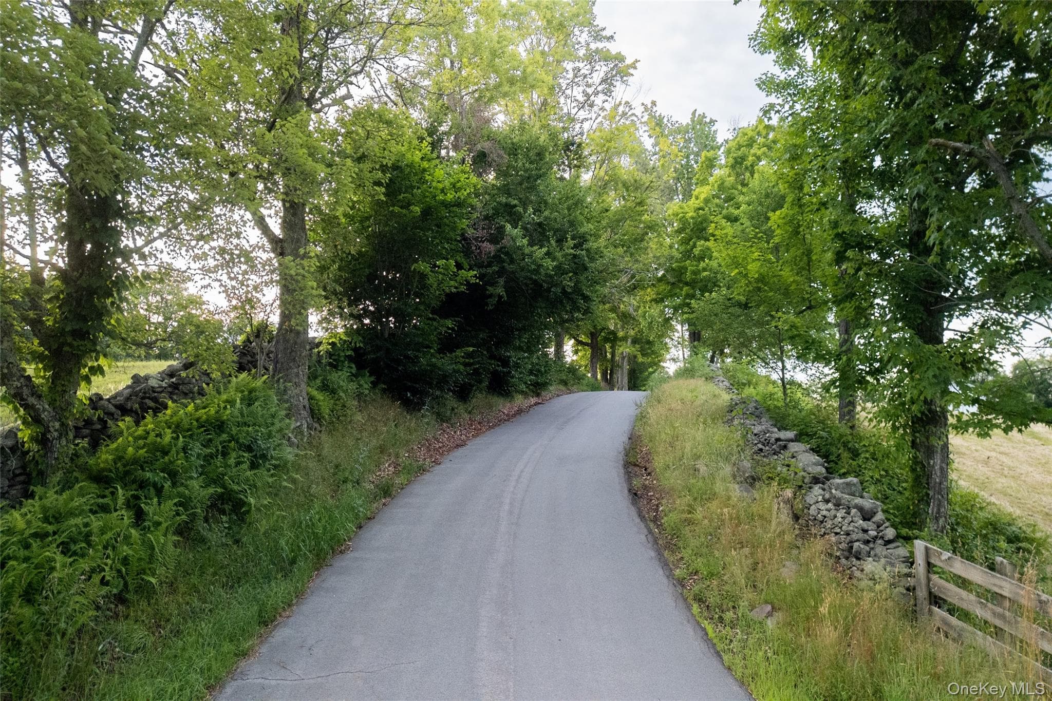49 Crumley Van Vactor Road thumbnail 2
