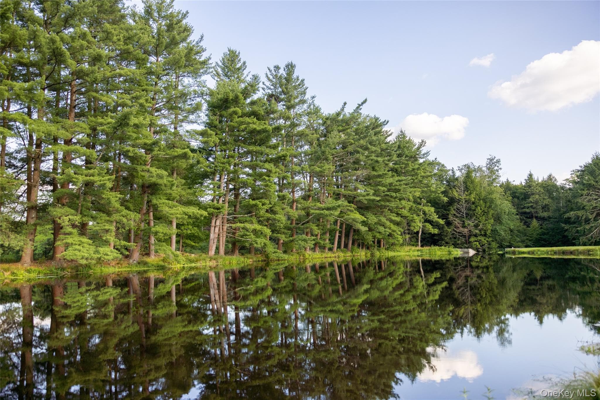 49 Crumley Van Vactor Road thumbnail 8