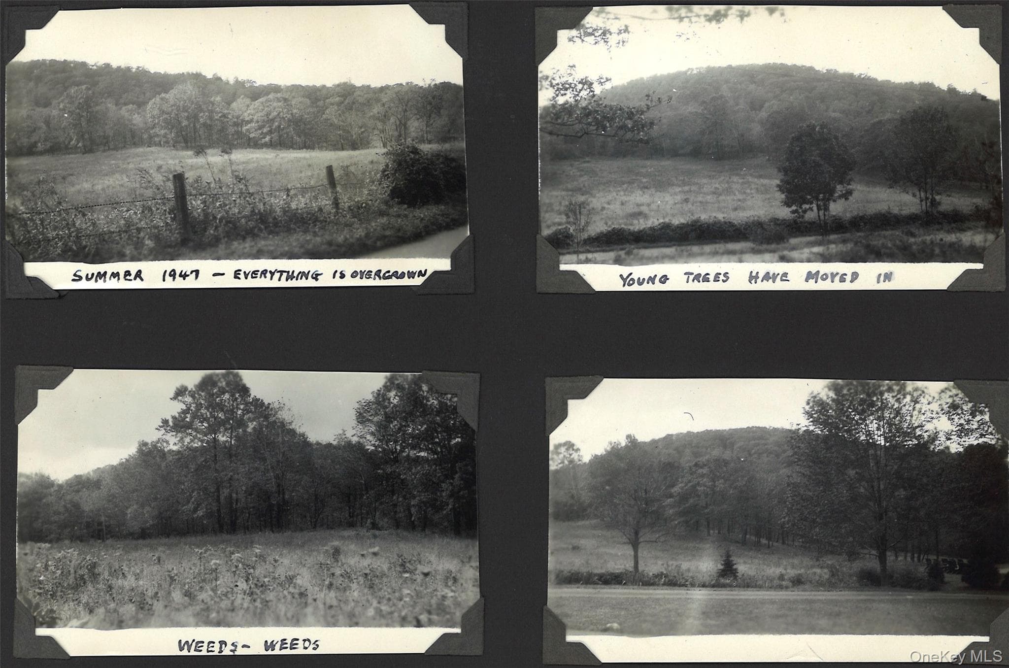 982 Bradley Parkway thumbnail 49