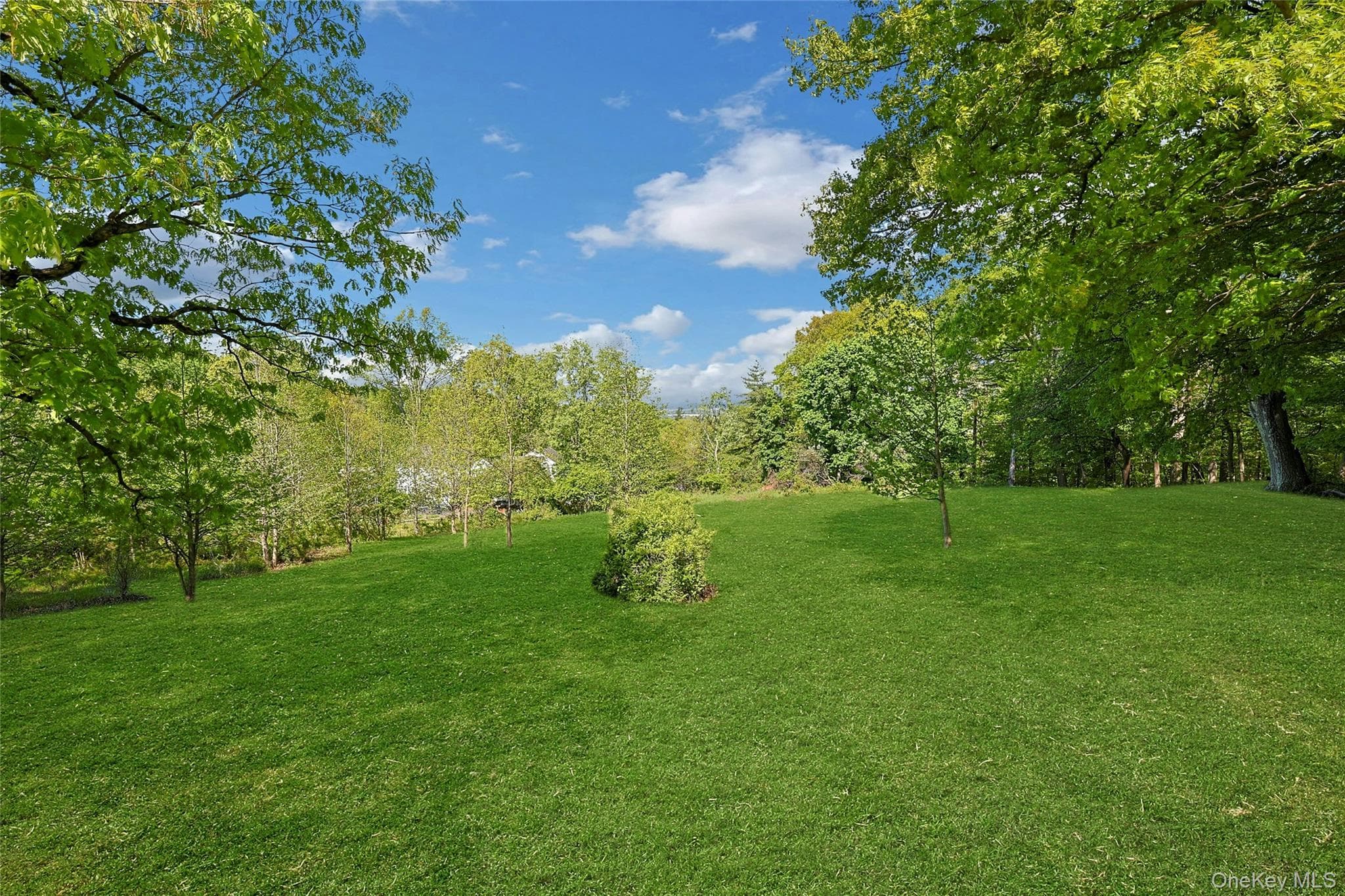 982 Bradley Parkway thumbnail 39