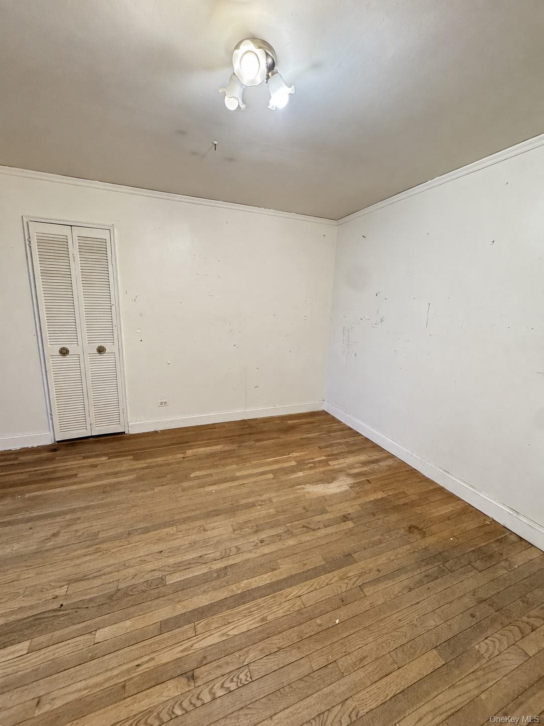 31-90 140th Street Unit: 5C thumbnail 13