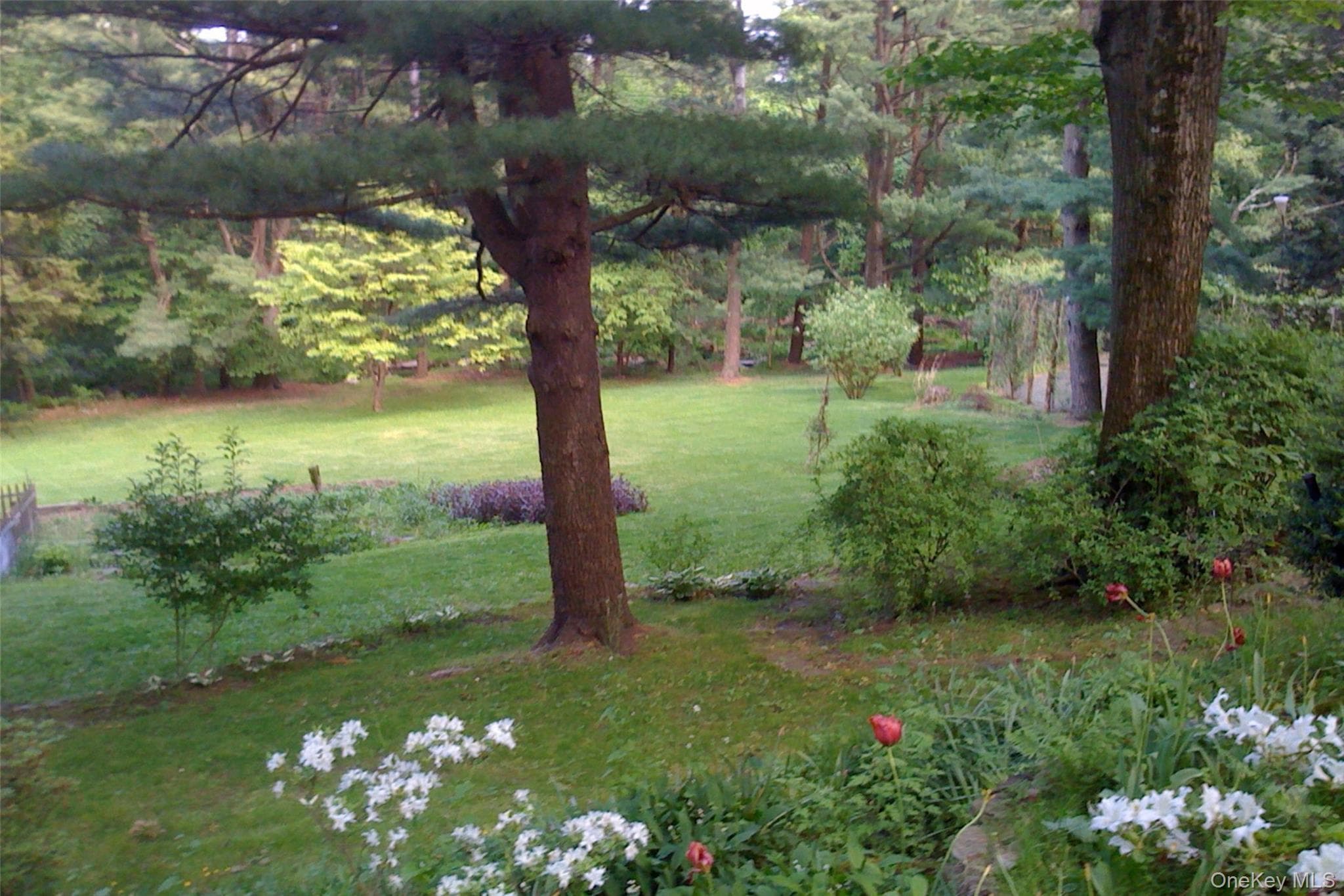 35 Saxon Woods RD thumbnail 16