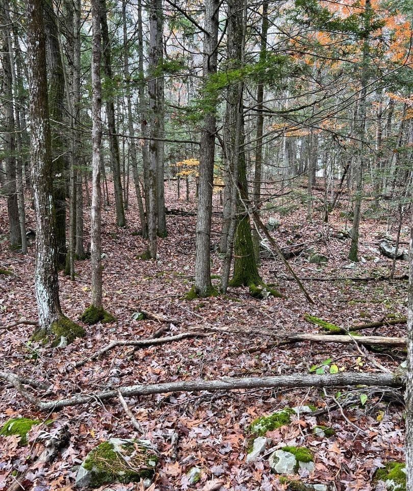 91 Laurie Lane Ln thumbnail 8