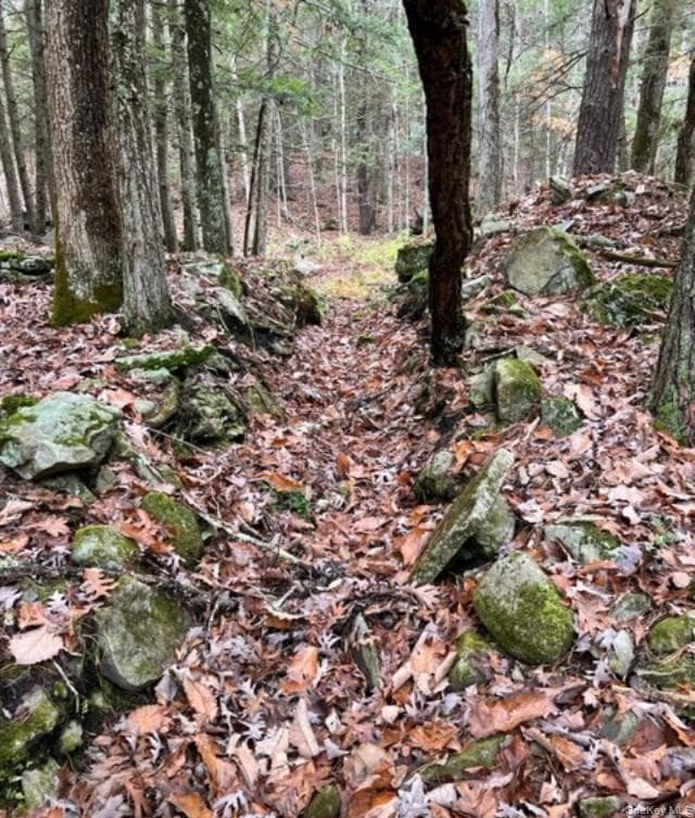 91 Laurie Lane Ln thumbnail 7