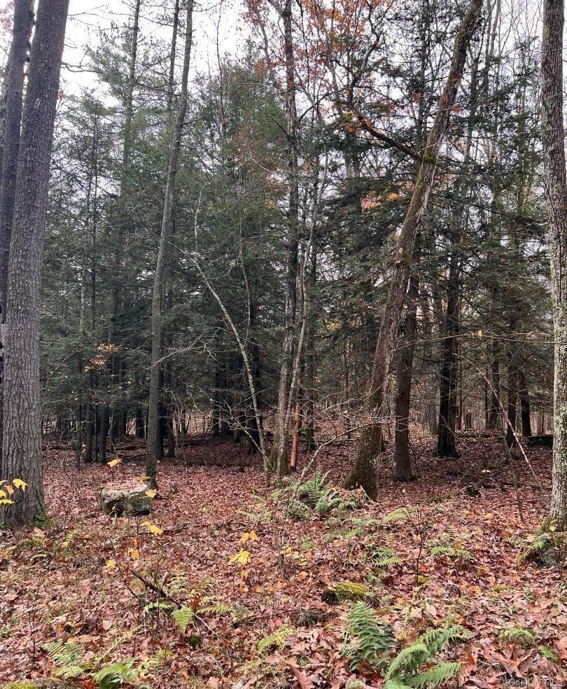 91 Laurie Lane Ln thumbnail 12