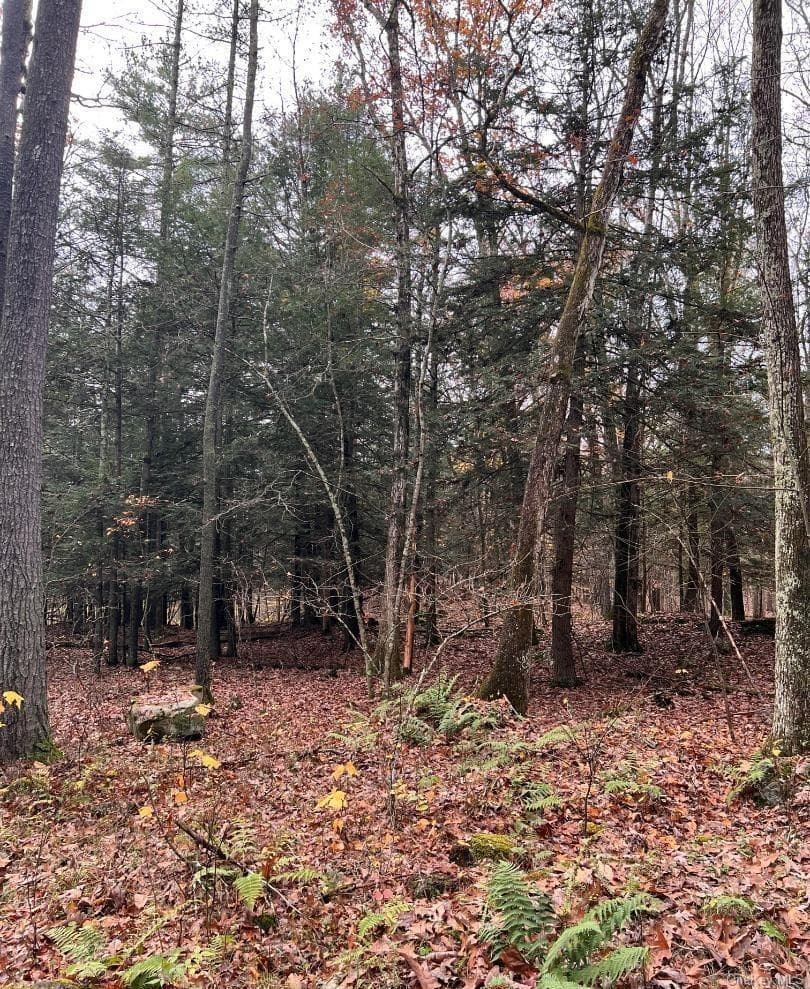 91 Laurie Lane Ln thumbnail 13