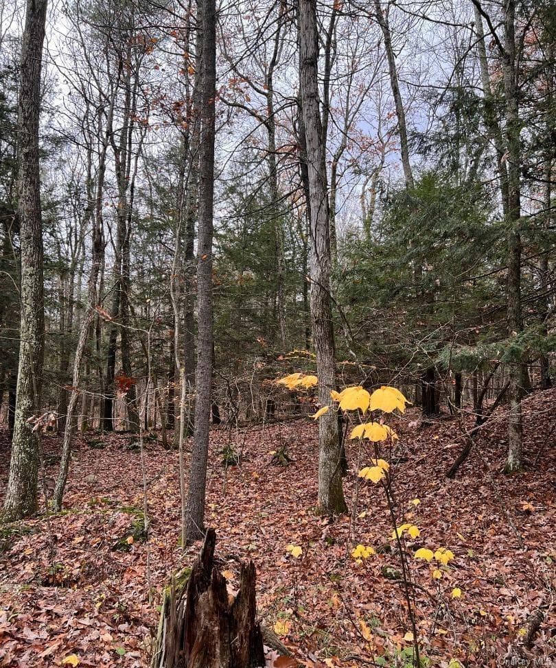 91 Laurie Lane Ln thumbnail 14