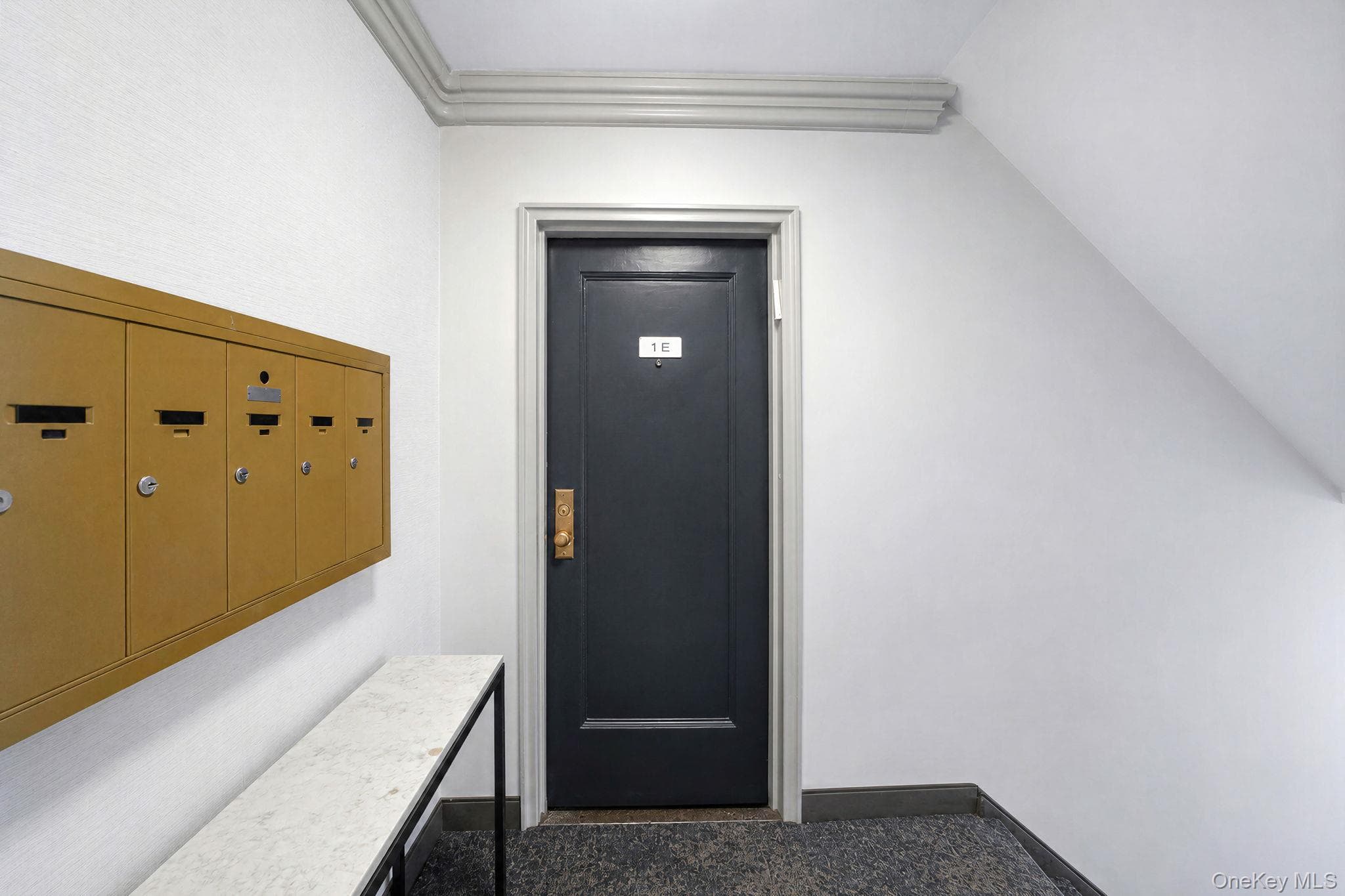 4 Edwards St ST Unit: 1E thumbnail 5