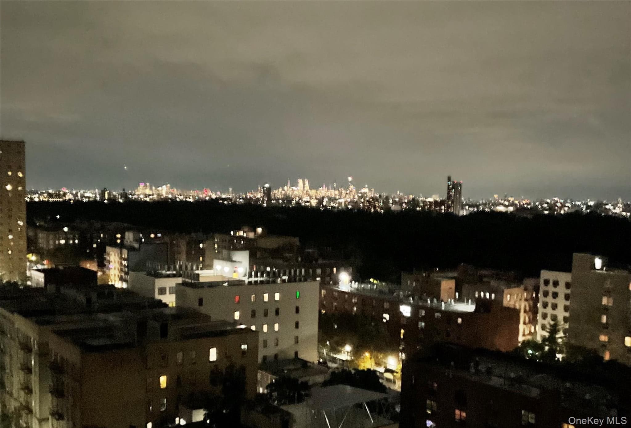 2550 Olinville Avenue Unit: 15H thumbnail 12