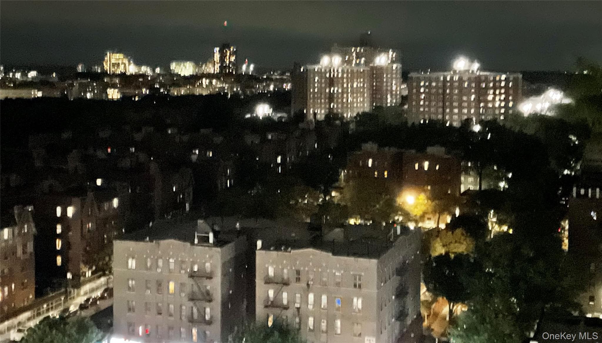 2550 Olinville Avenue Unit: 15H thumbnail 14