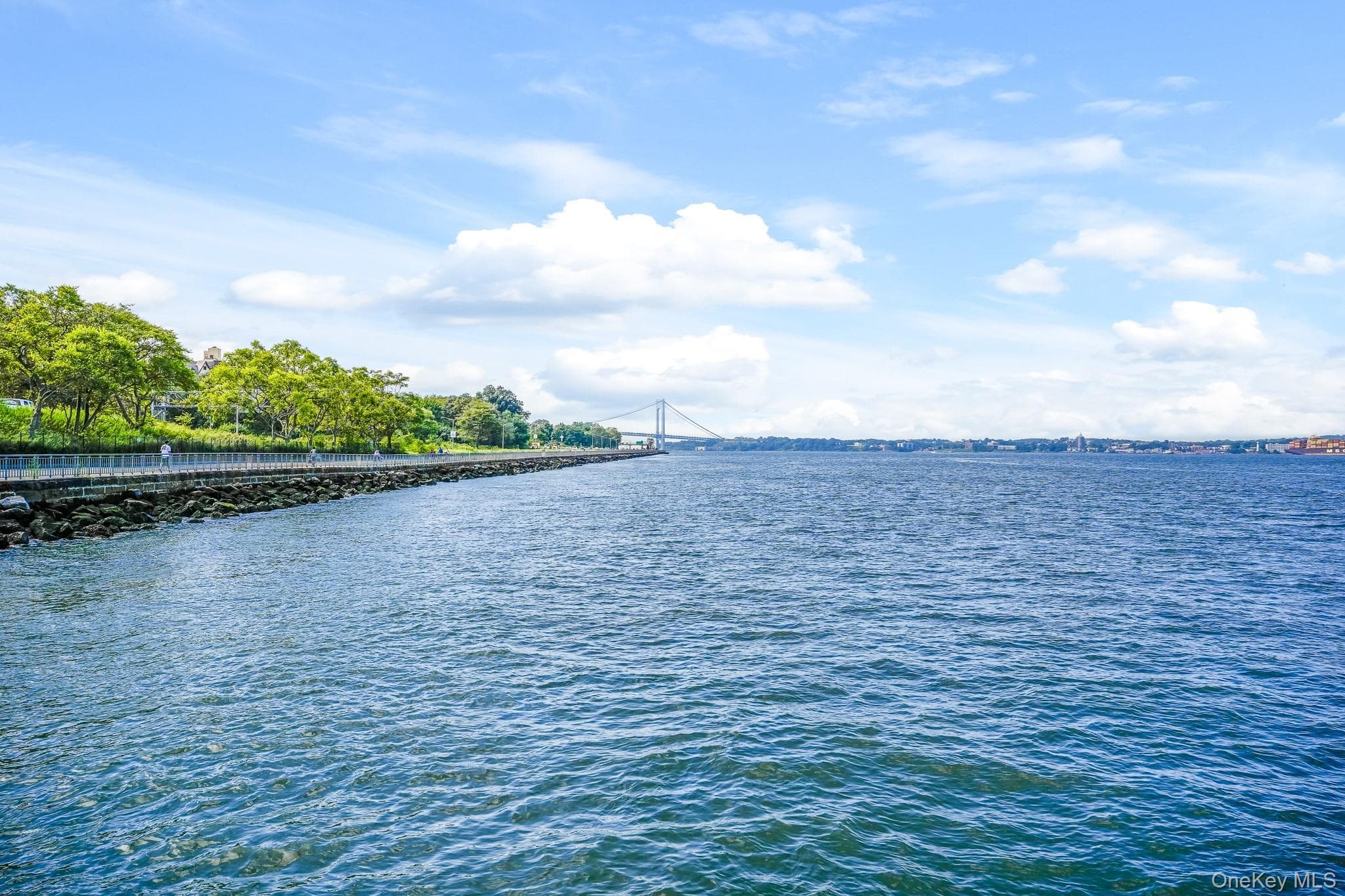 6801 Shore Road Unit: 1S thumbnail 10