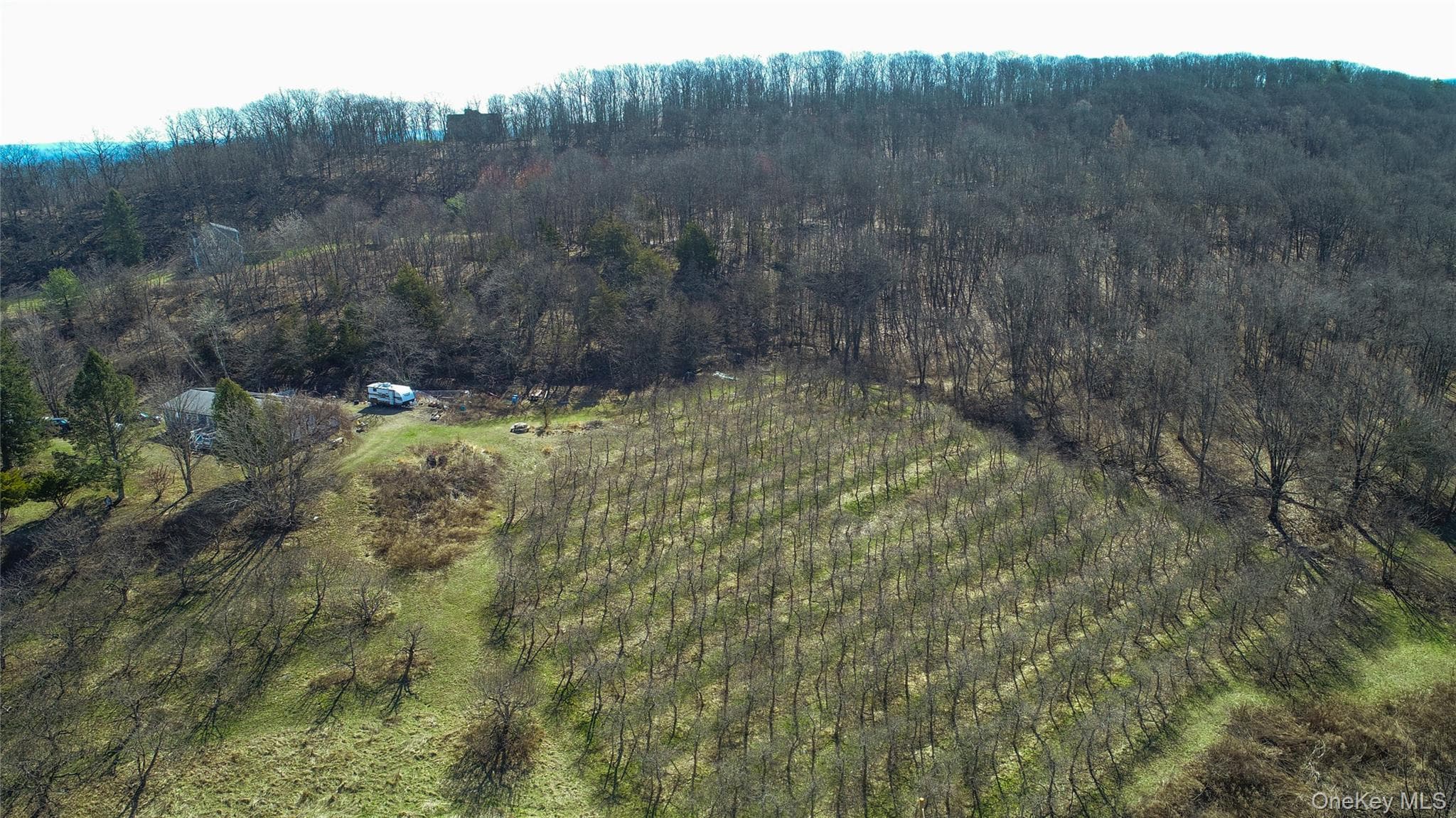 223 Plattekill Road thumbnail 39